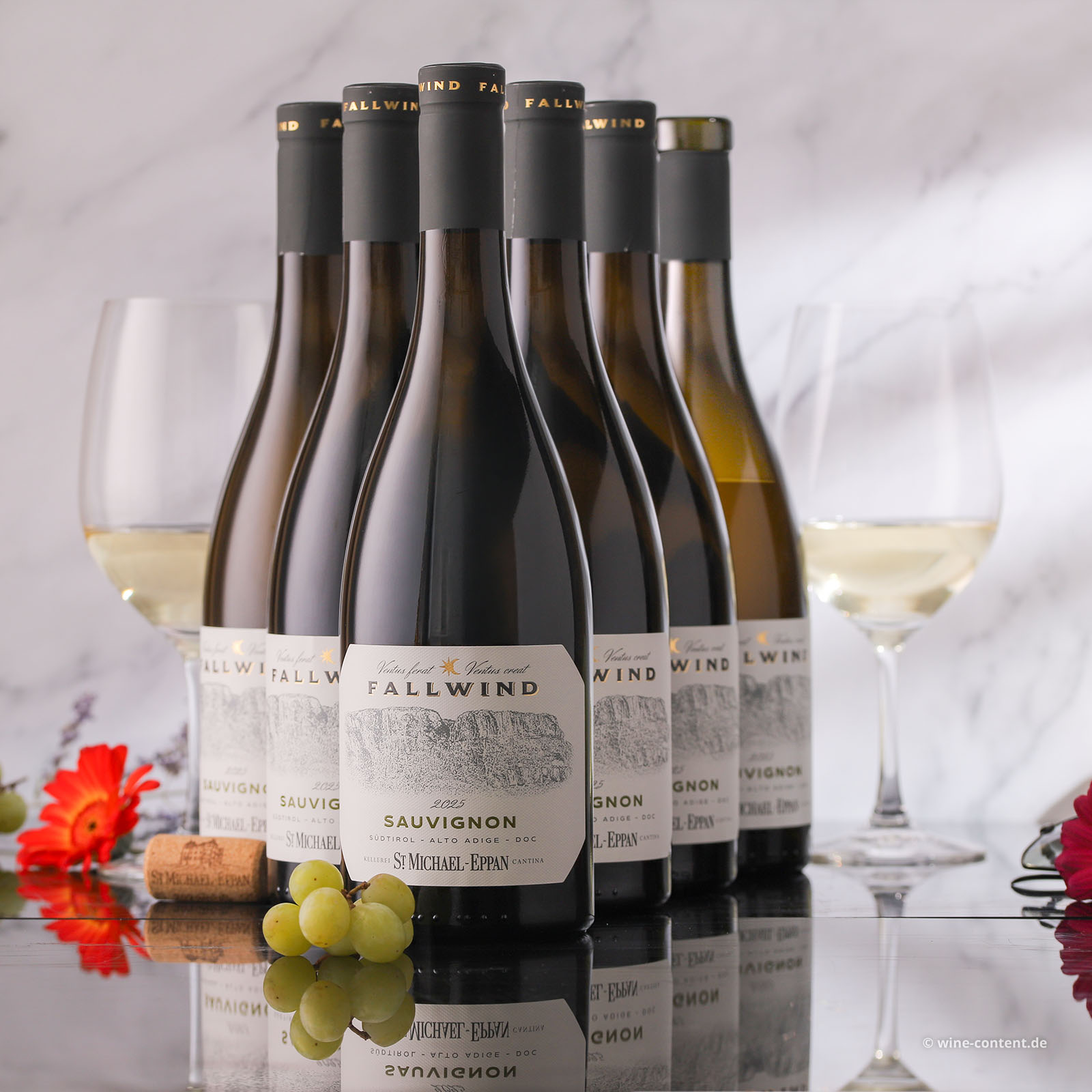 6er-Sparpaket Sauvignon Blanc 2025 Fallwind