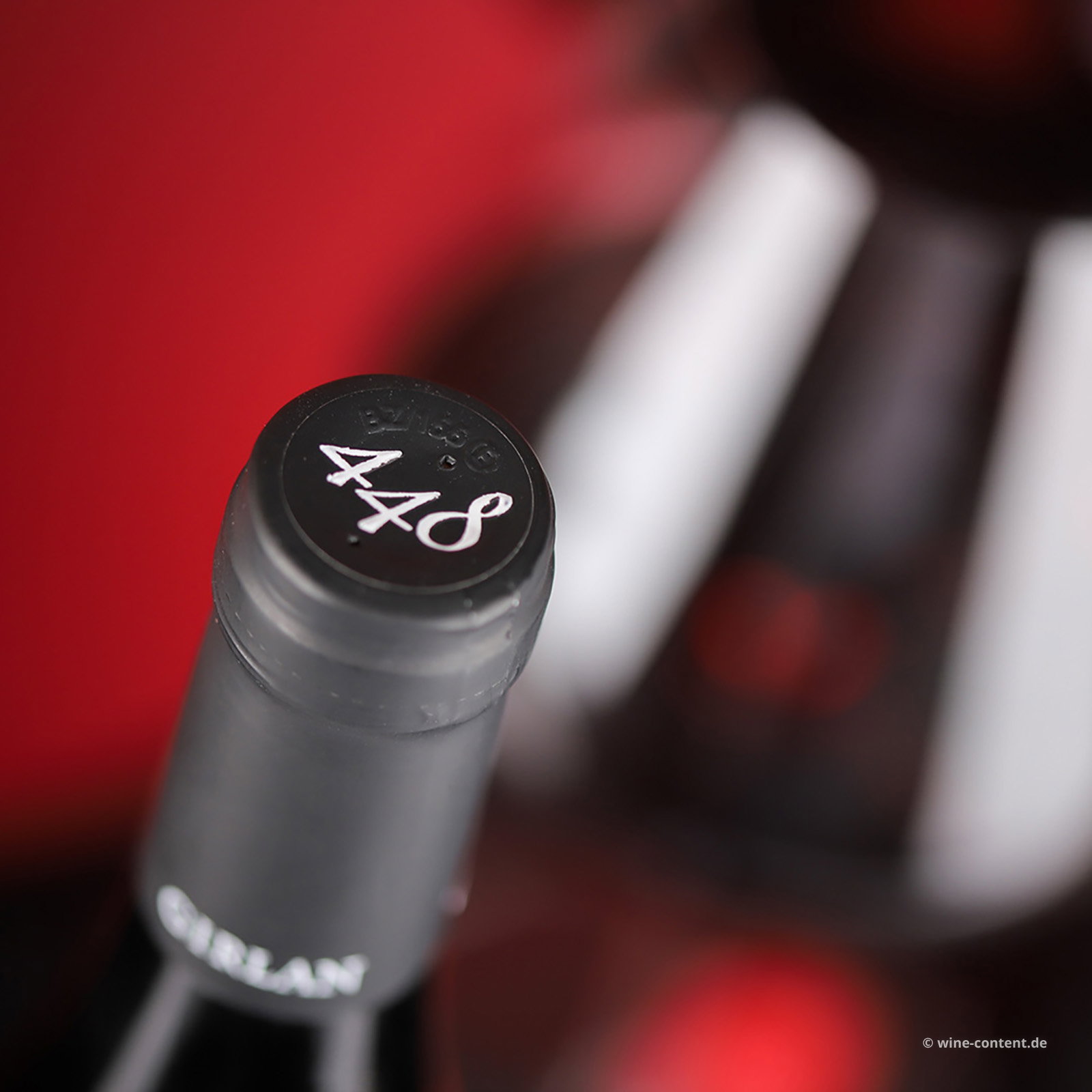 Vernatsch 2025 448 s.l.m.