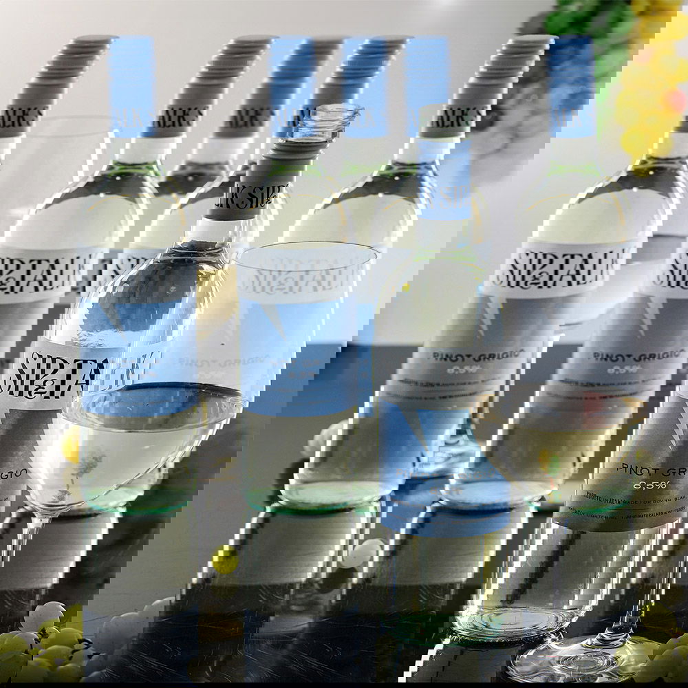 5+1 Sparpaket Pinot Grigio 2024 Sip & Talk 8,5%