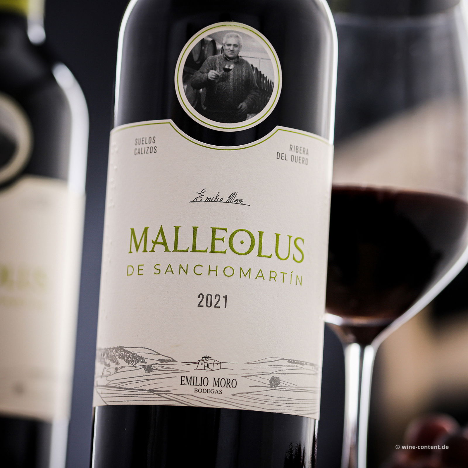 Malleolus de Sanchomartin 2021