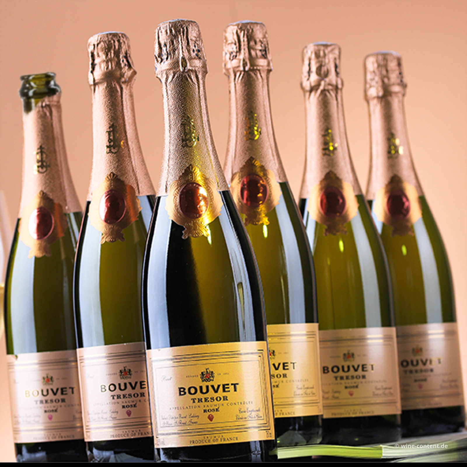 6er-Sparpaket Crémant Saumur Rosé Trésor Brut