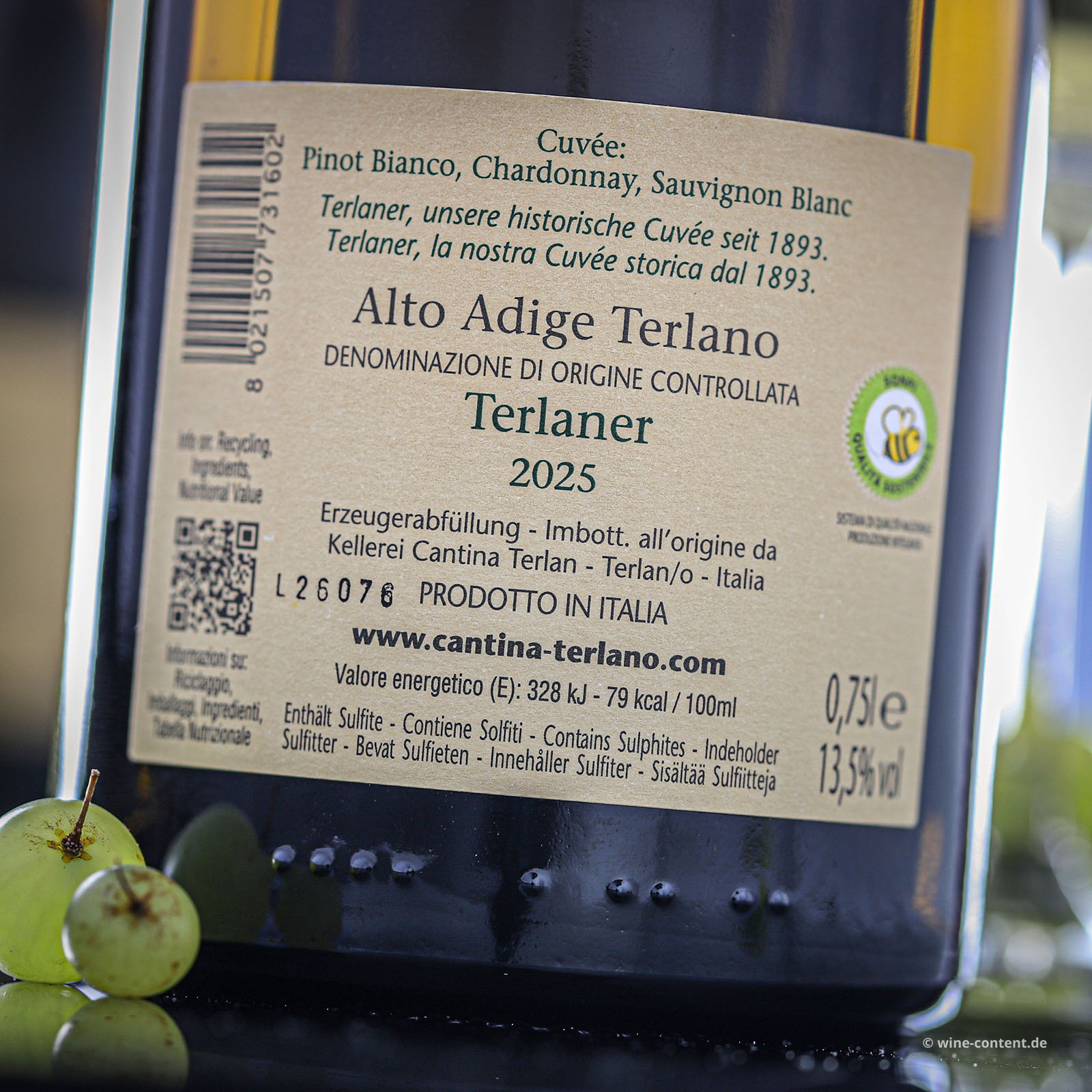 Terlaner Cuvée 2025