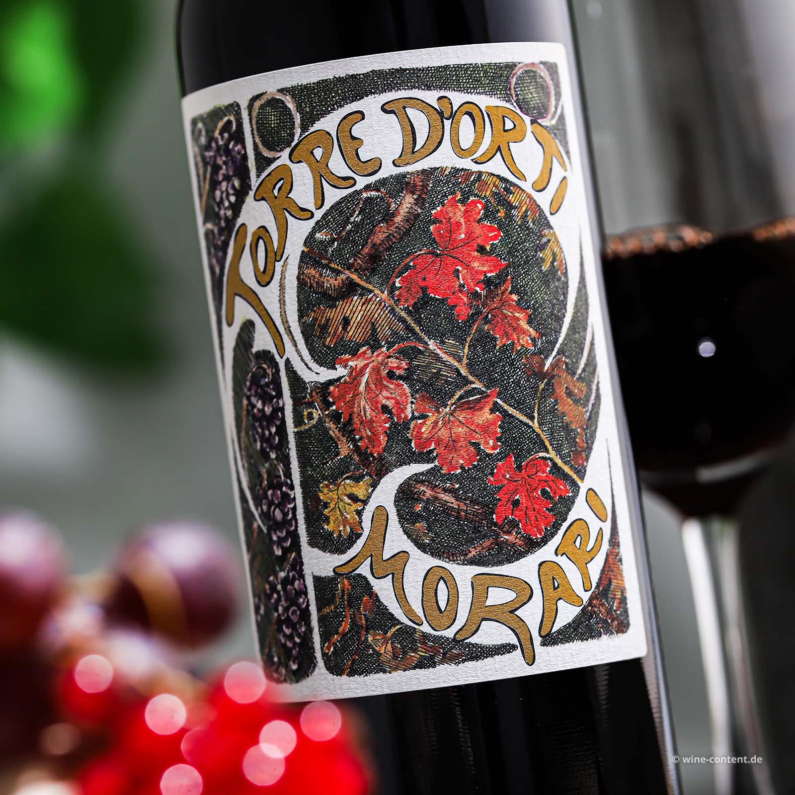 Valpolicella Superiore 2023 Morari