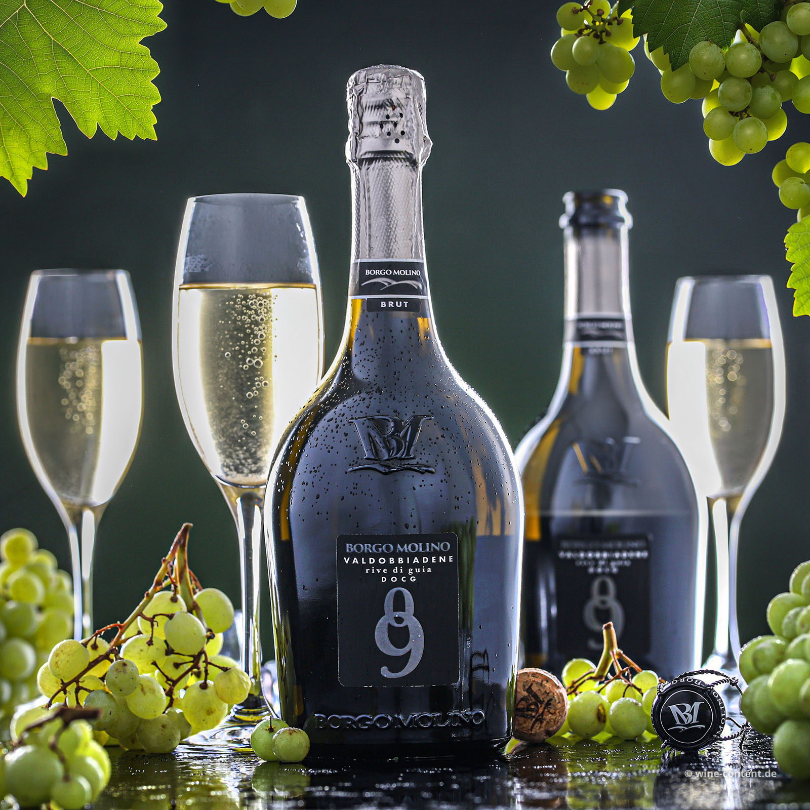 Prosecco Superiore 2025 Rive di Guia Brut