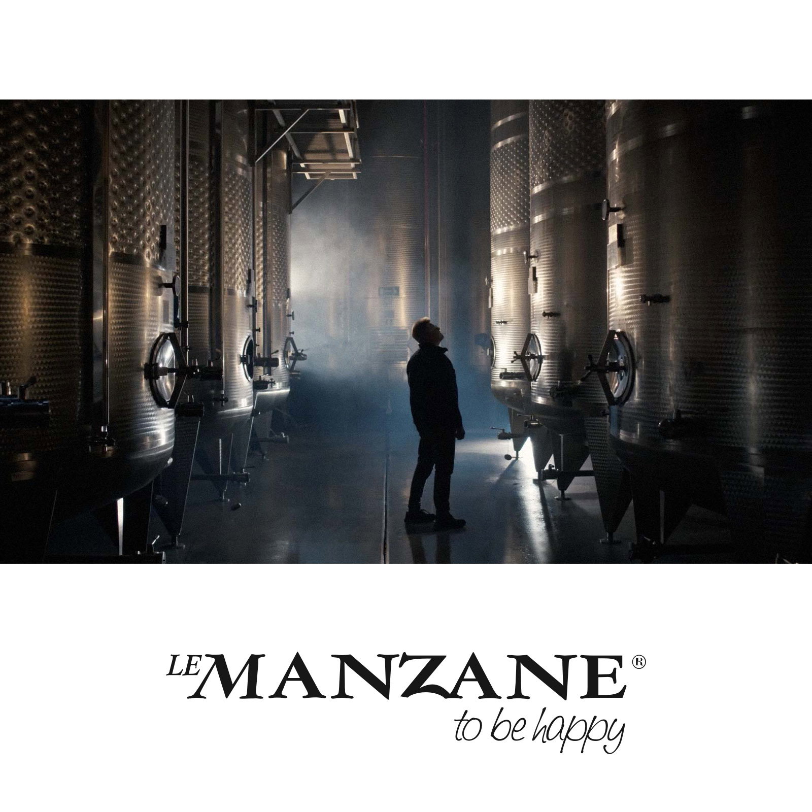 6er-Sparpaket Prosecco Superiore 2025 Rive di Manzana Springo Bronze  Dry