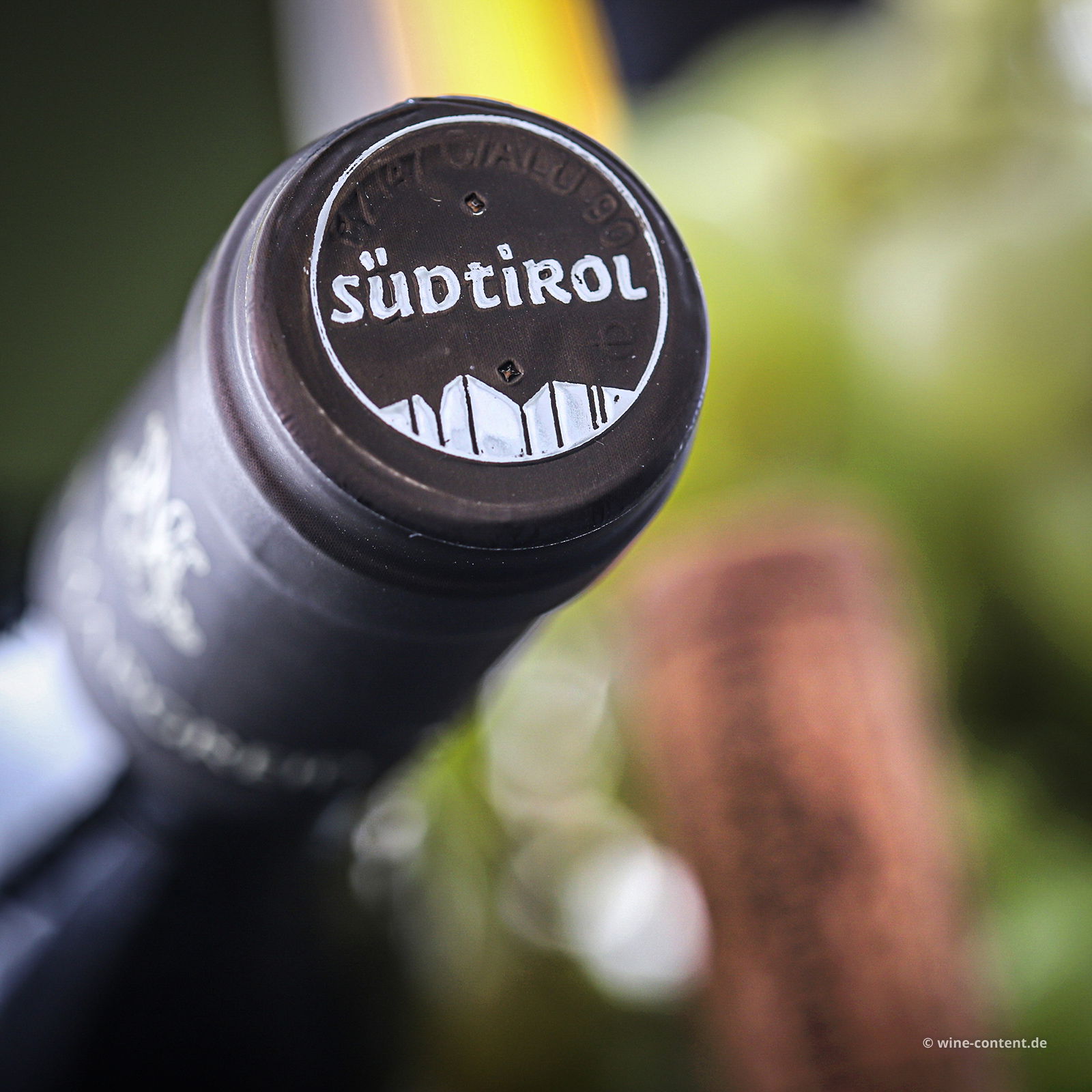 Pinot Bianco 2023 Sirmian