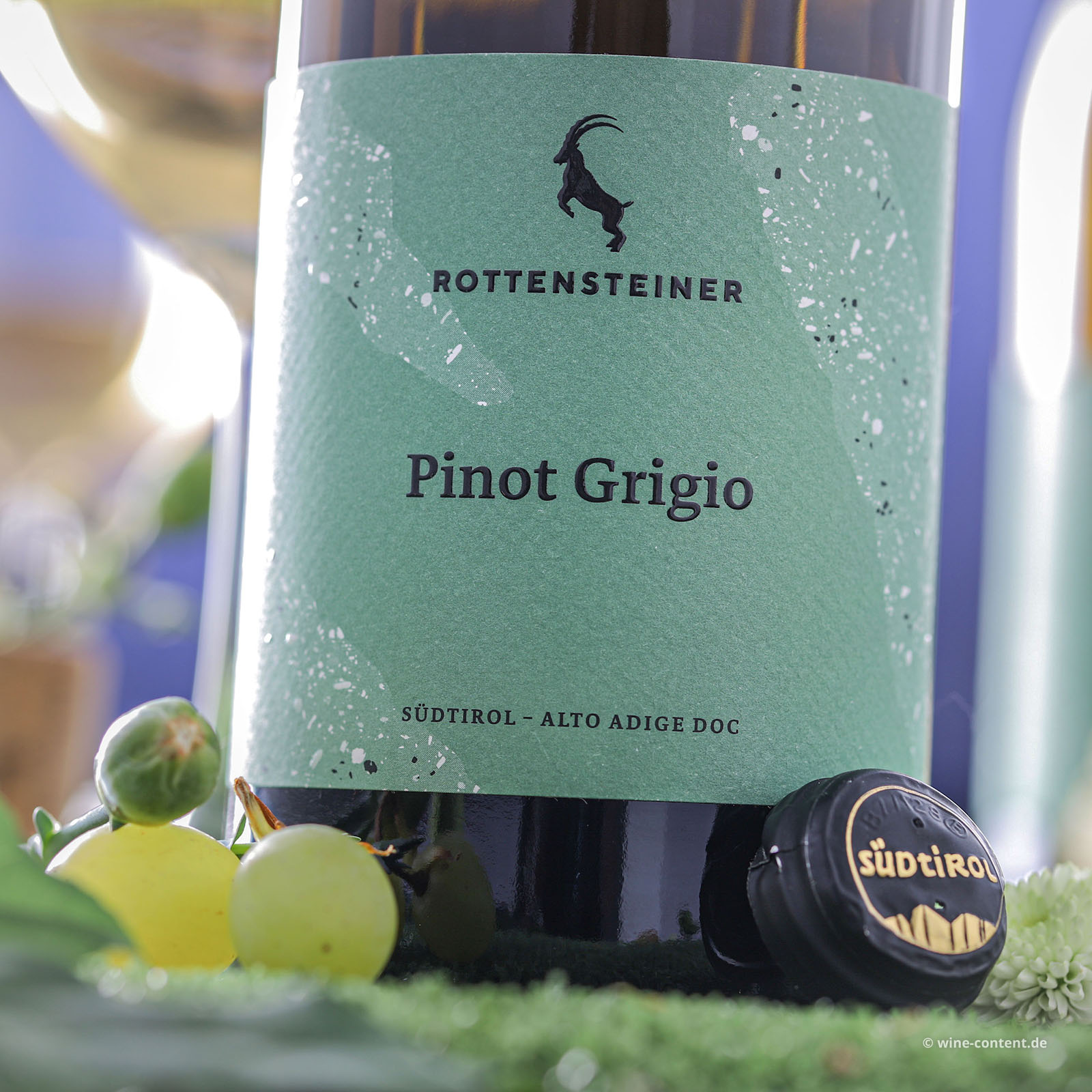 Pinot Grigio 2025