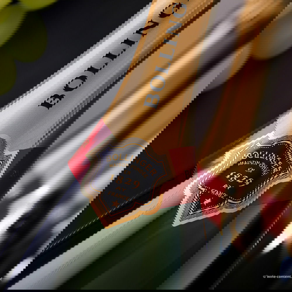 3er-Paket Champagner Special Cuvée Brut Magnum