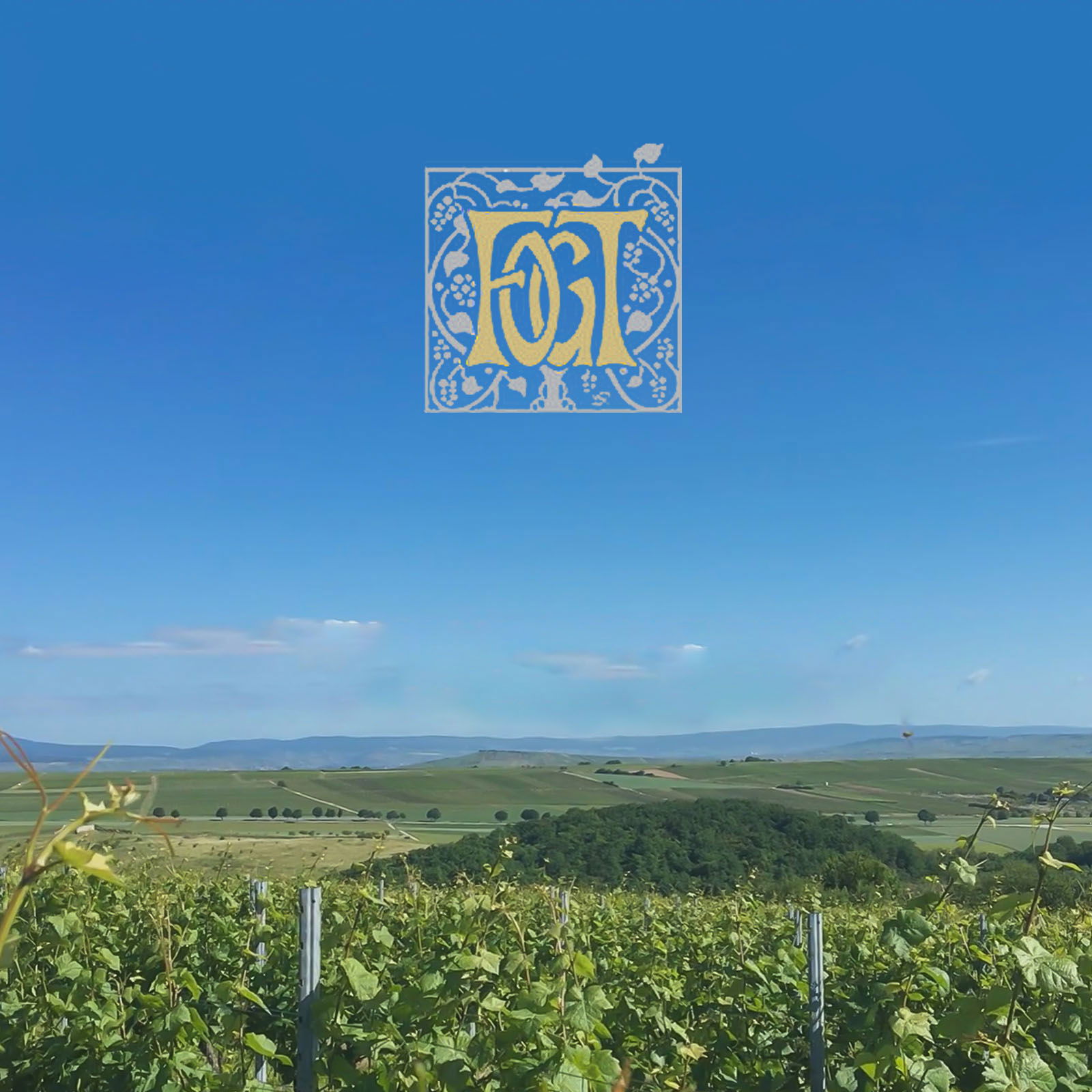 Spätburgunder Blanc de Noir 2025