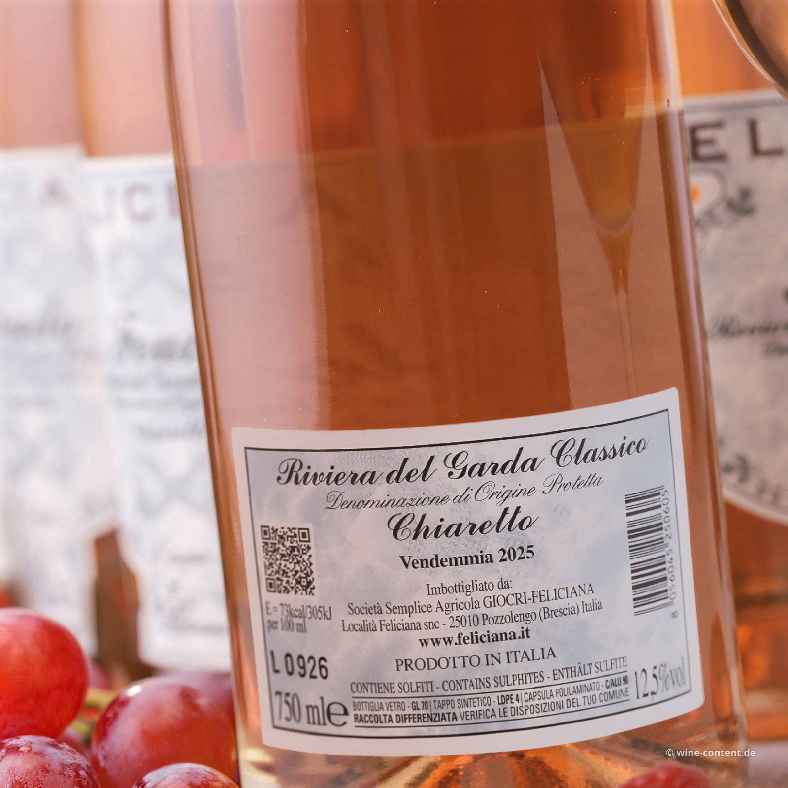 6er-Sparpaket Chiaretto Garda Classico 2025 Feudo