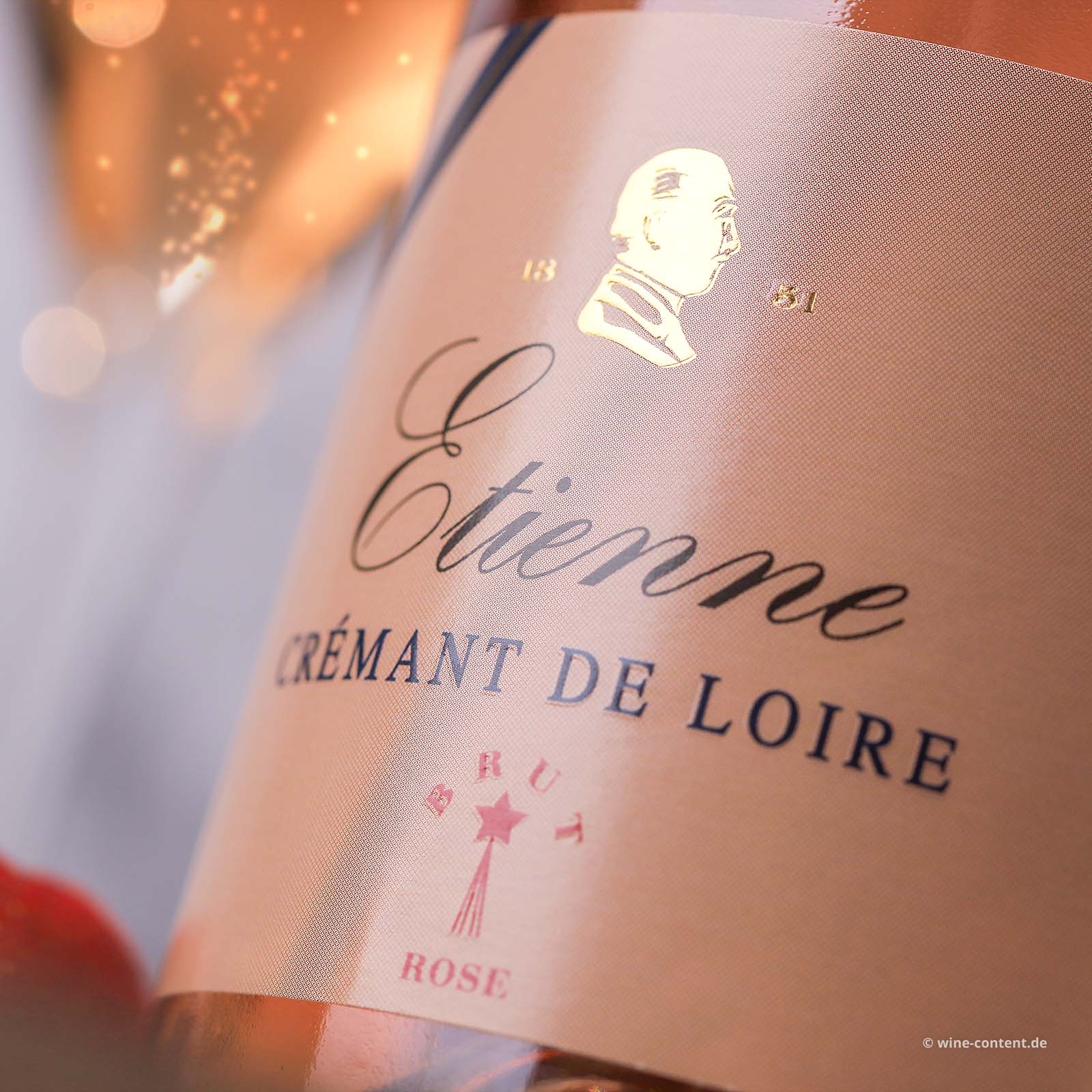 6er-Sparpaket Crémant de Loire Rosé Etienne Brut