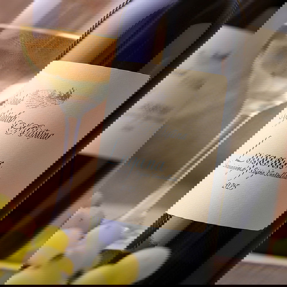 Lugana 2025 Santa Cristina