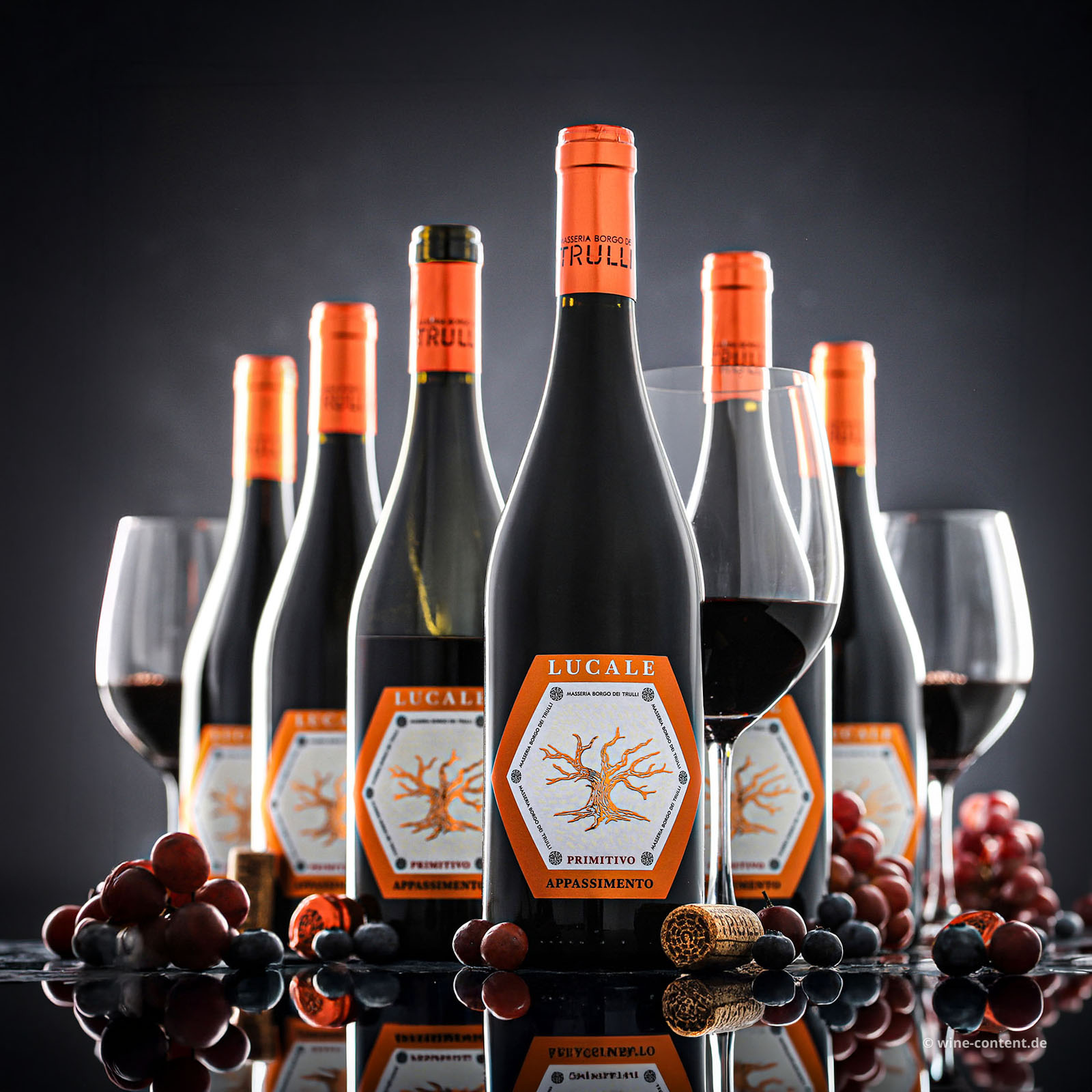 6er-Sparpaket Primitivo Appassimento 2025 Lucale