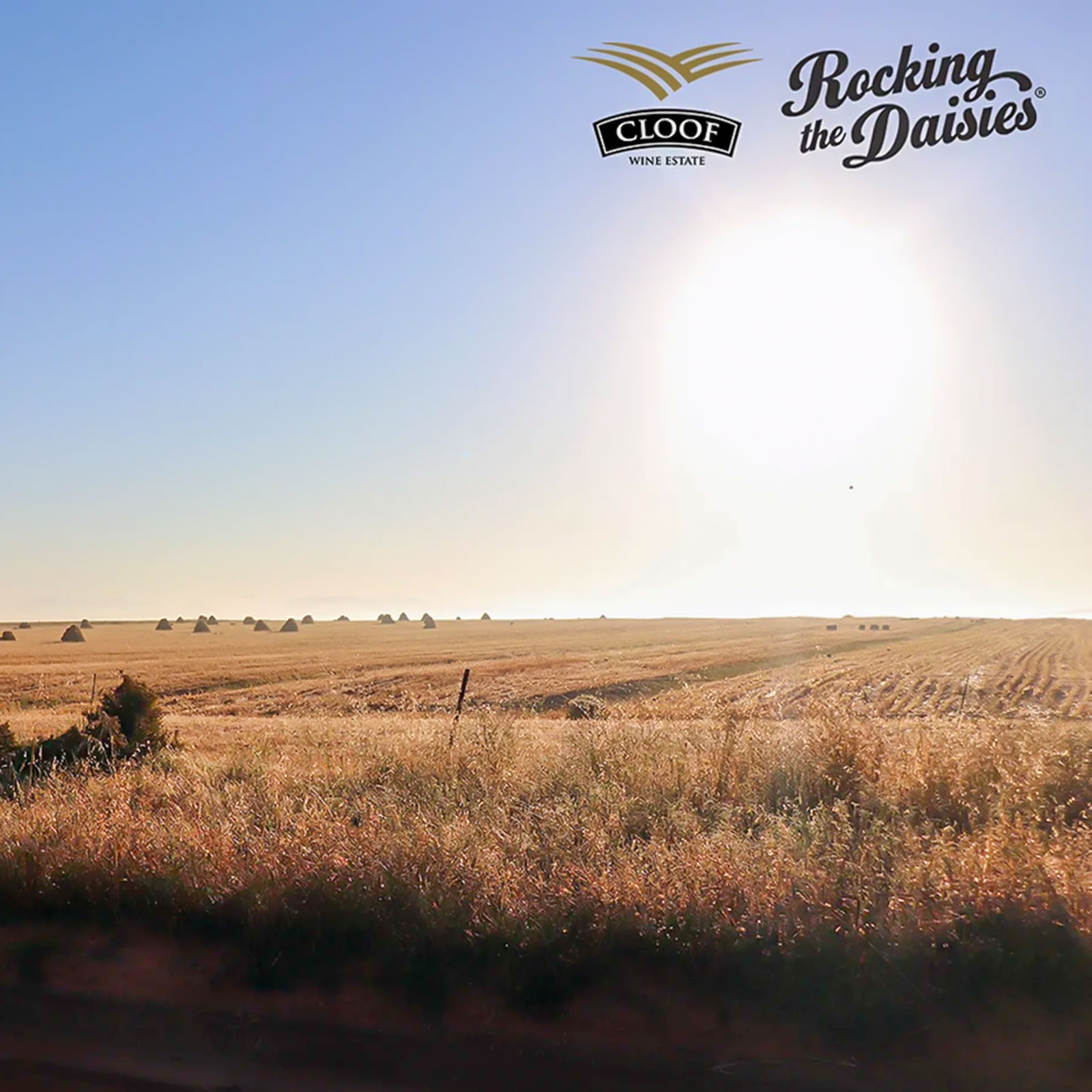 Bordeaux Blend 2021 Duckitt