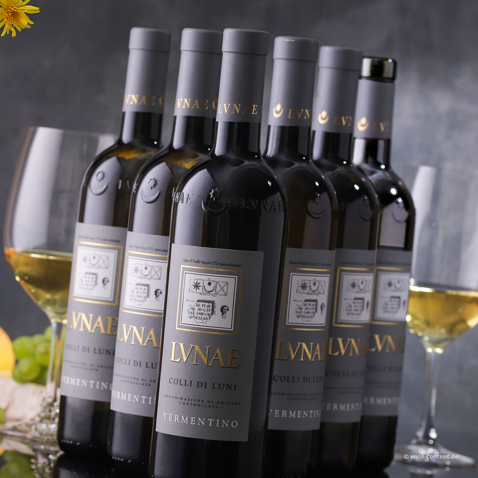 6er-Sparpaket Vermentino Colli di Luni 2025 Etichetta Grigia