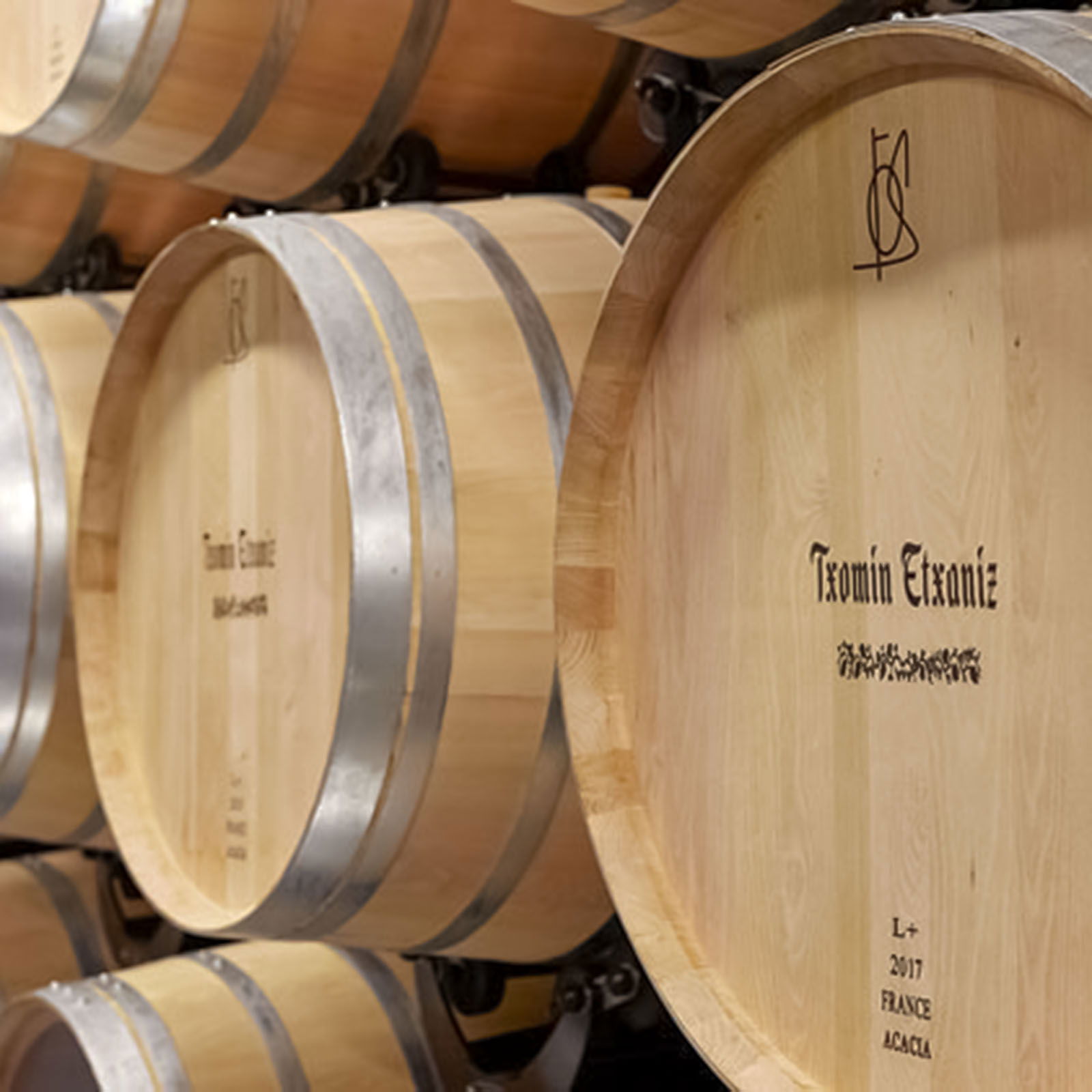 Txakoli Blanco 2024