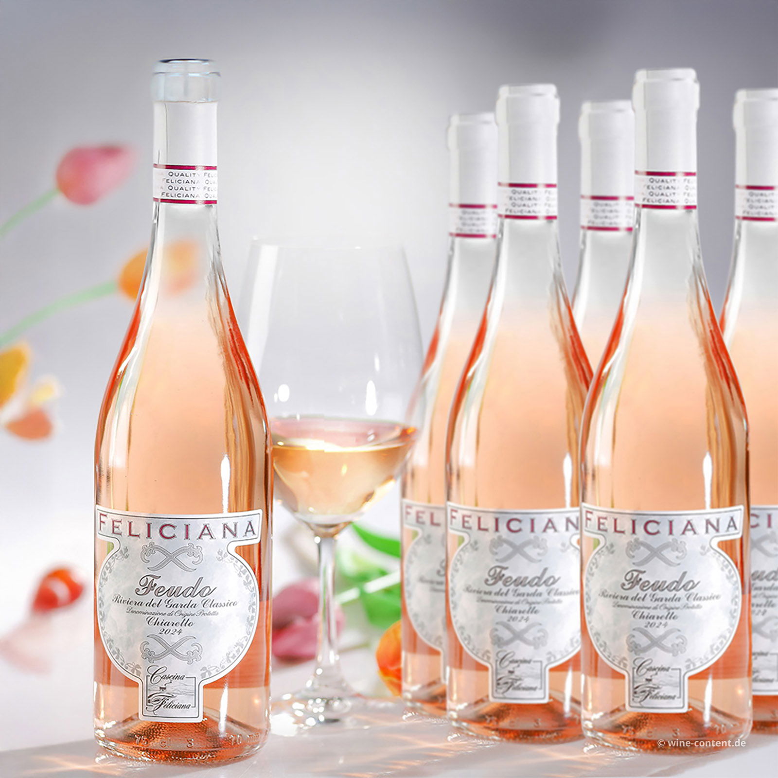6er-Sparpaket Chiaretto Garda Classico 2024 Feudo