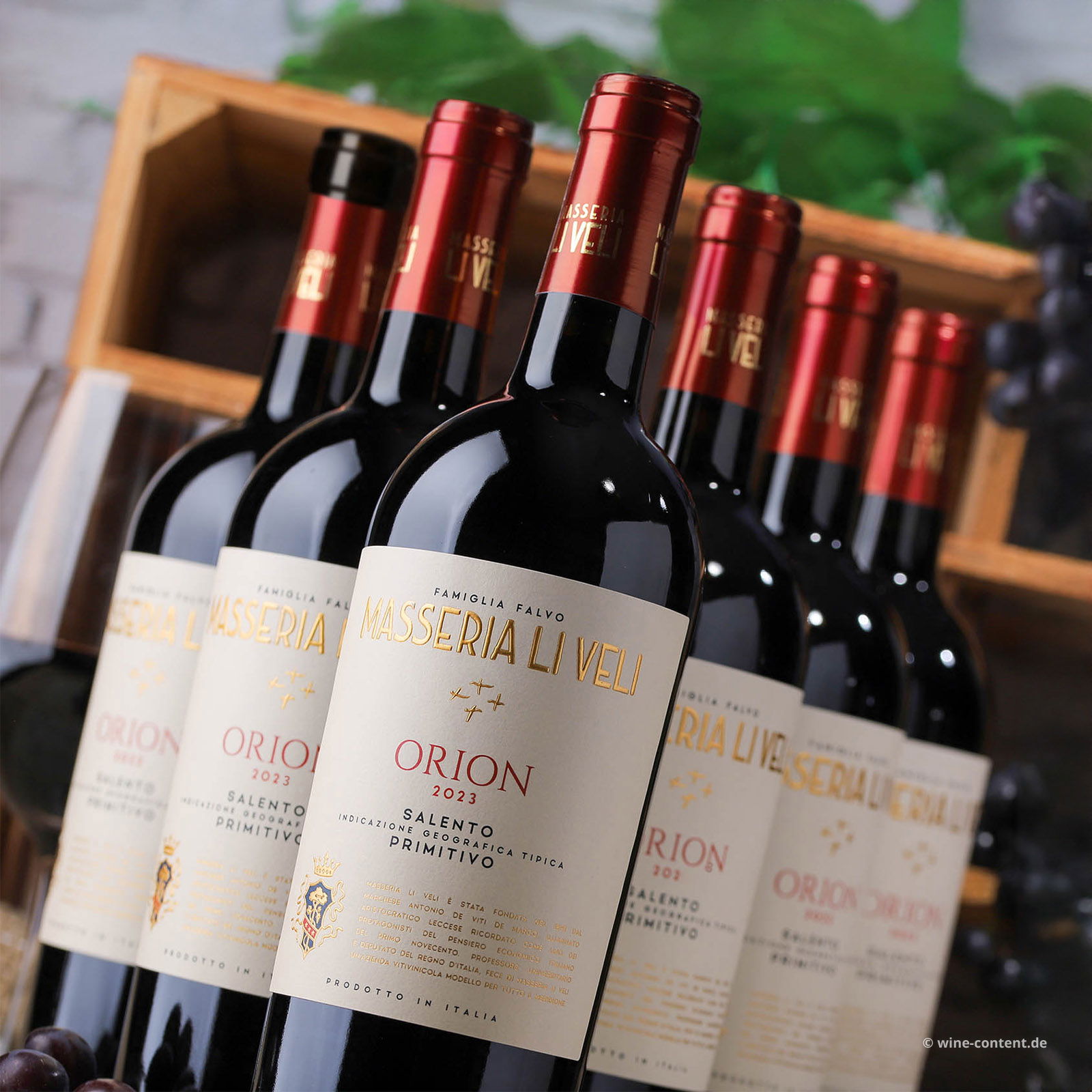 6er-Sparpaket Primitivo Salento 2023 Orion