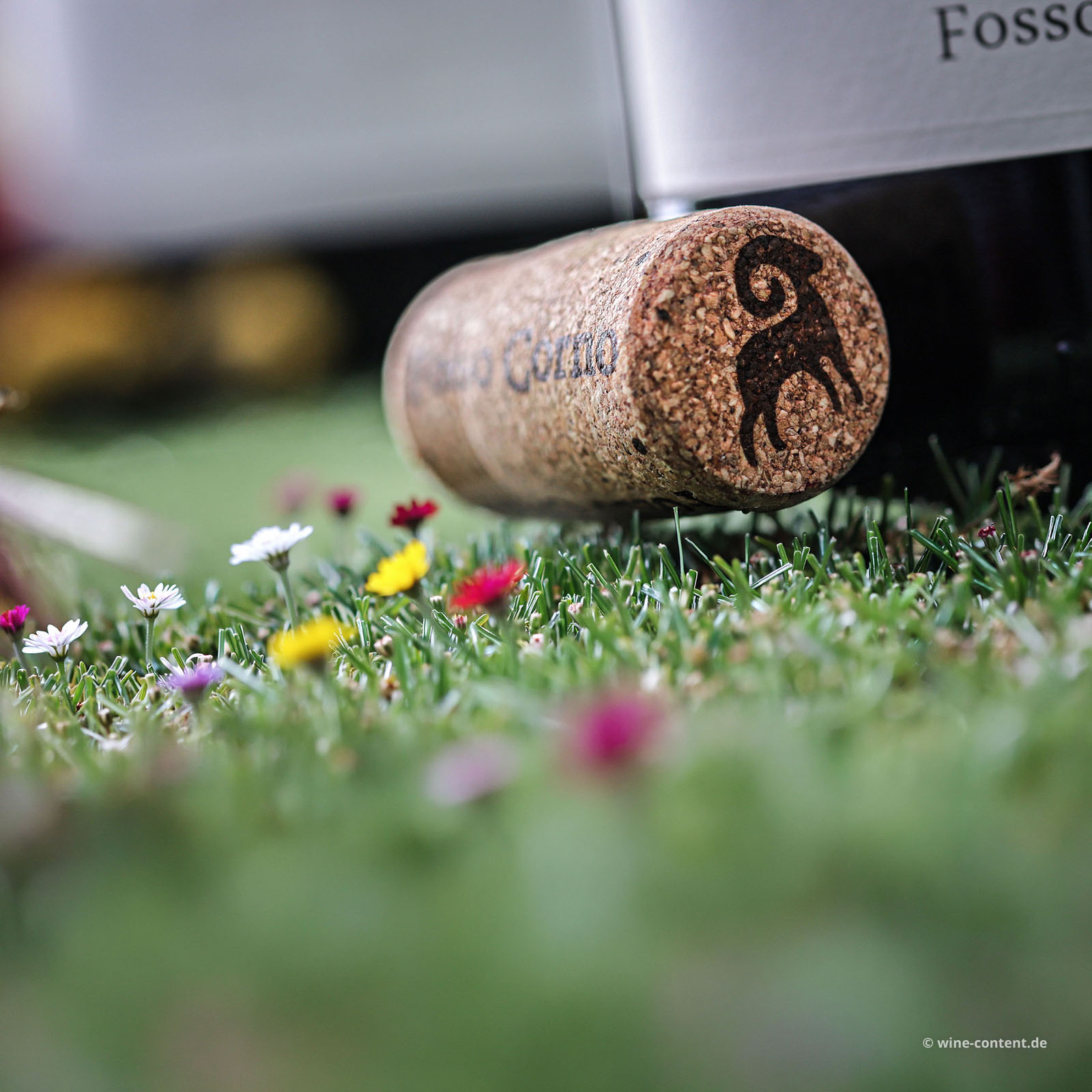 6er-Sparpaket Montepulciano d´Abruzzo 2023 Orsettino