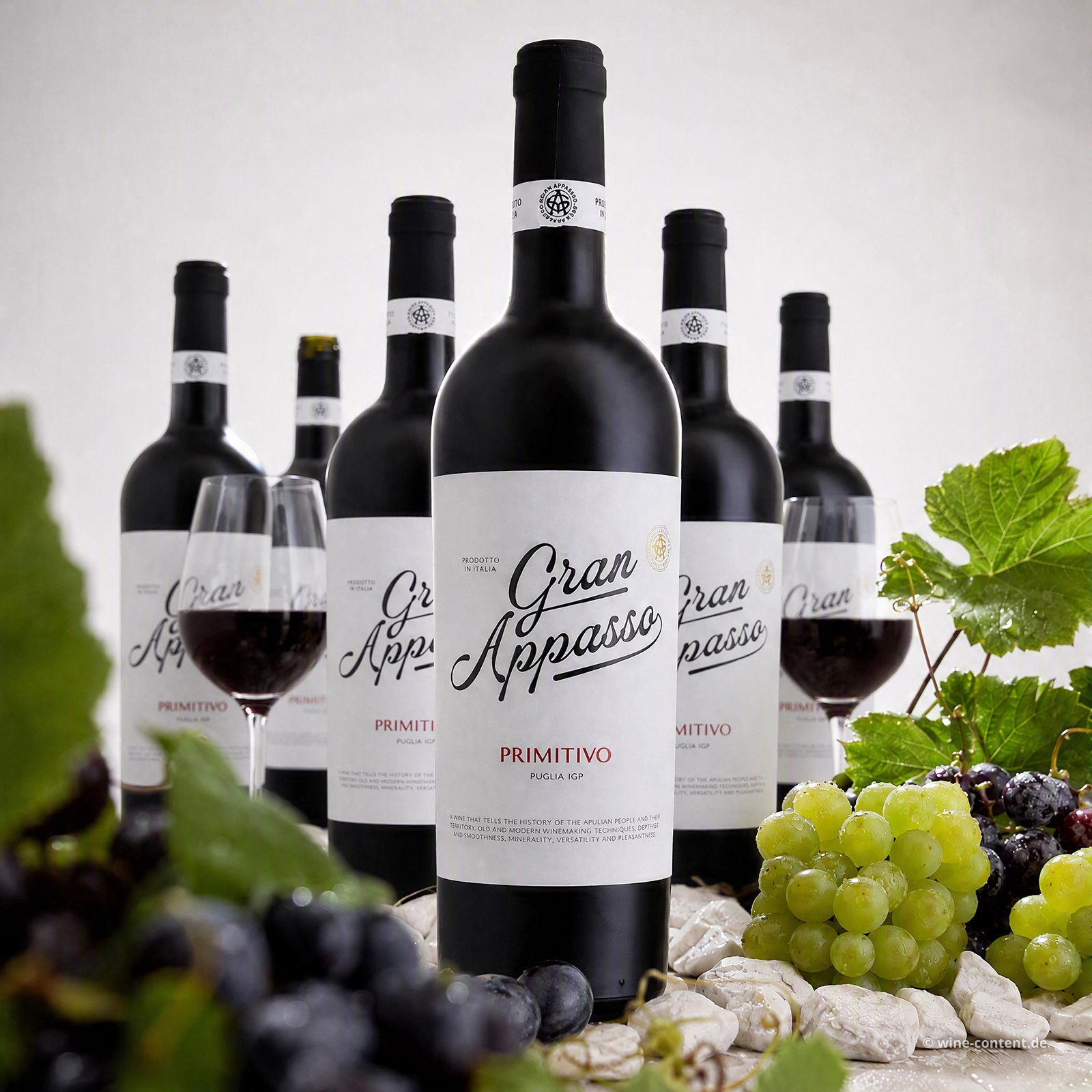 6er-Sparpaket Primitivo 2025 Gran Appasso