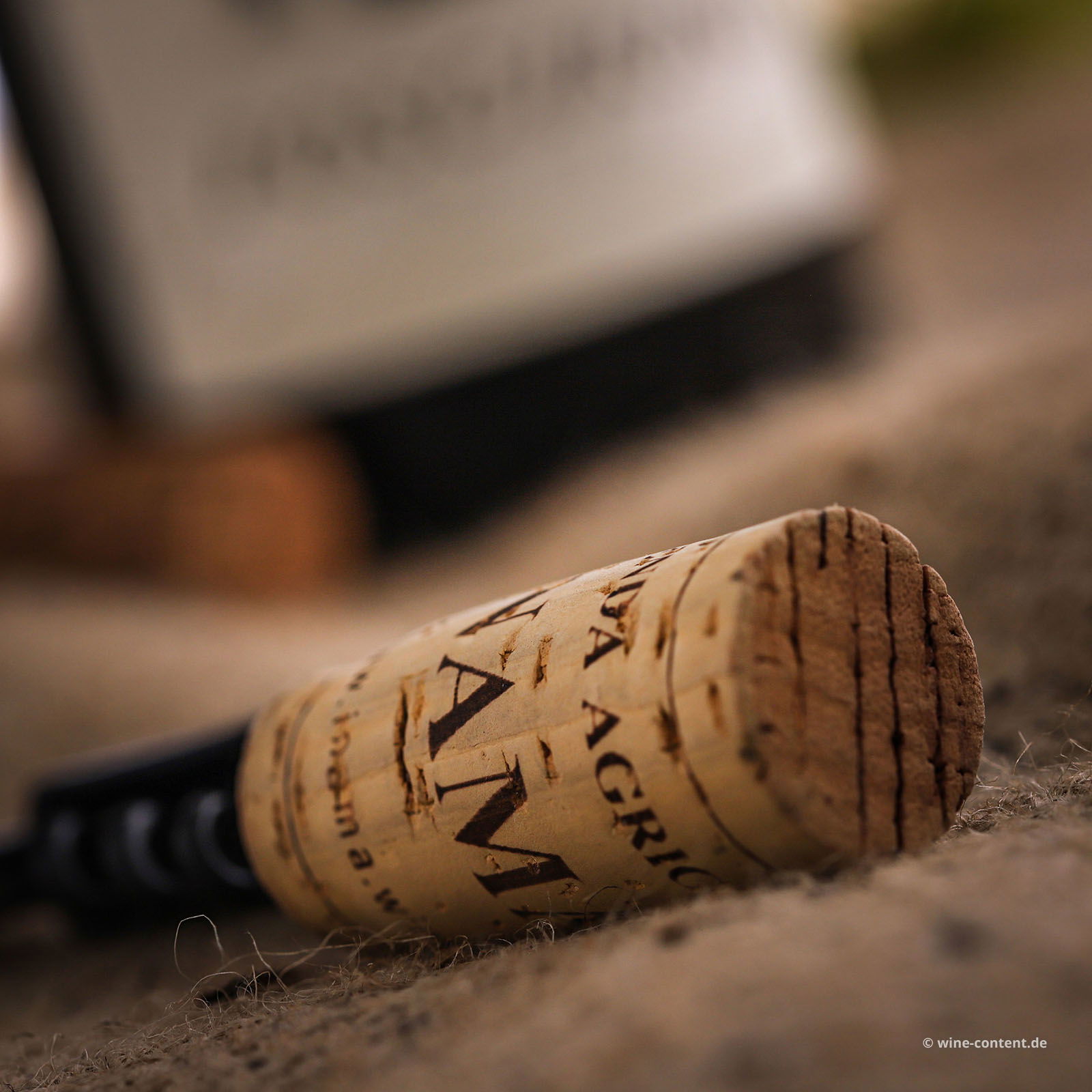 Soave Classico 2023 Foscarino