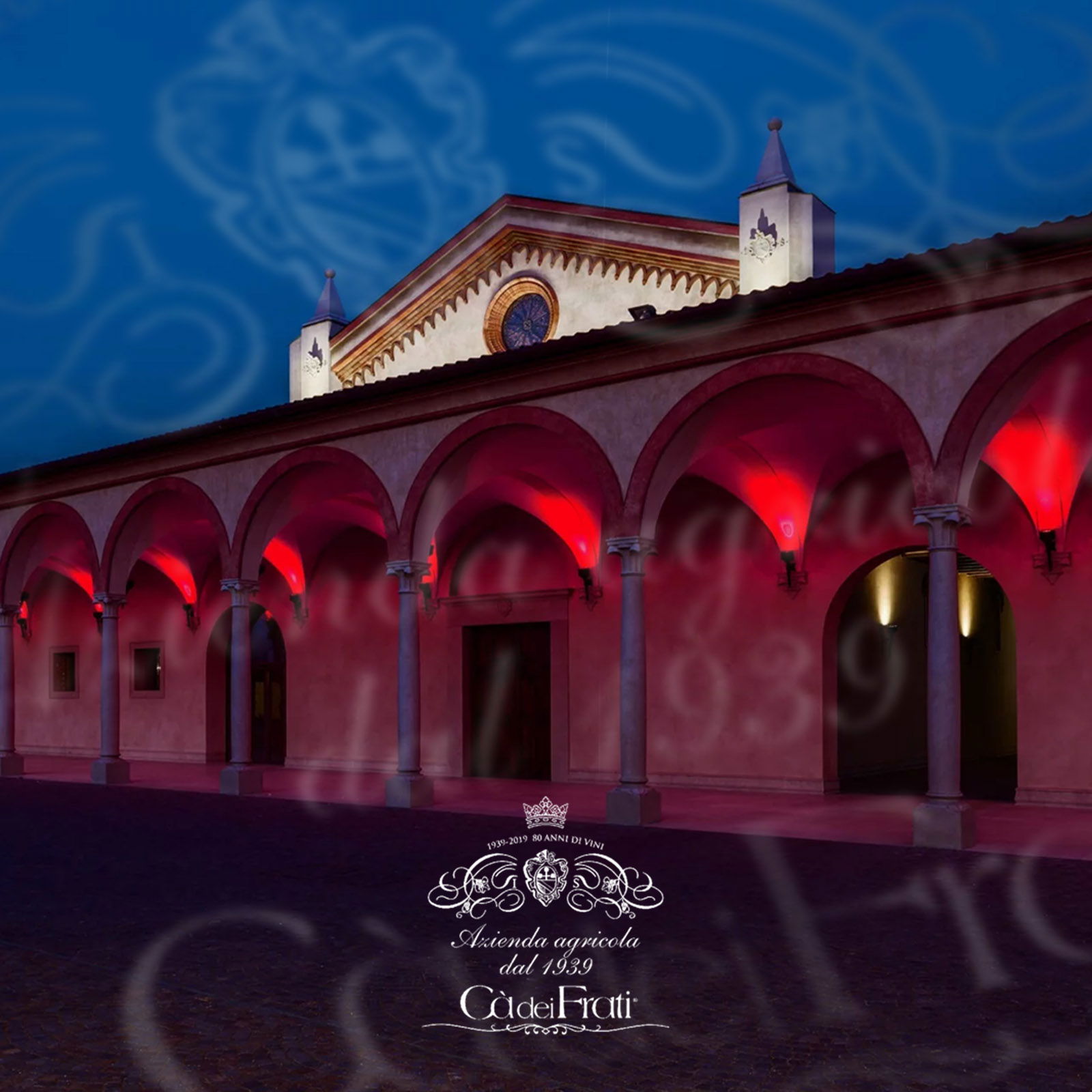 6er-Sparpaket Rosa dei Frati 2025