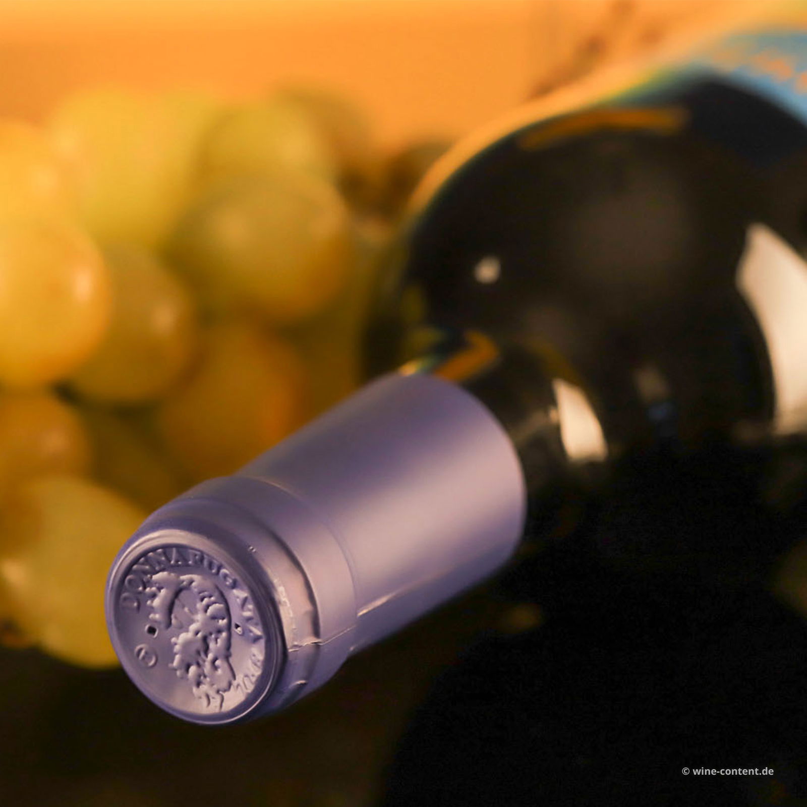 9er-Sparpaket Sicilia Bianco 2024 Anthilia