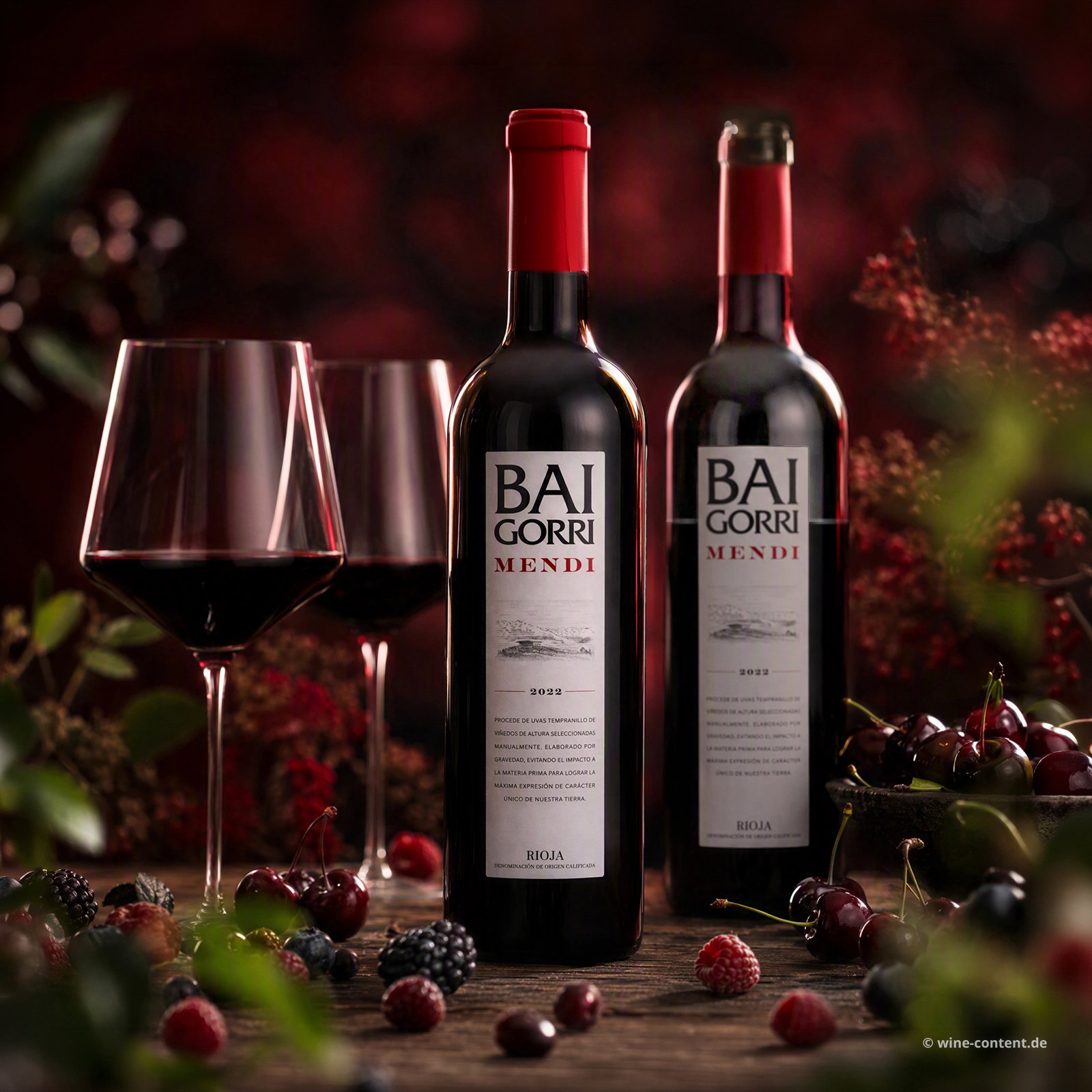 Rioja Crianza 2022 Mendi