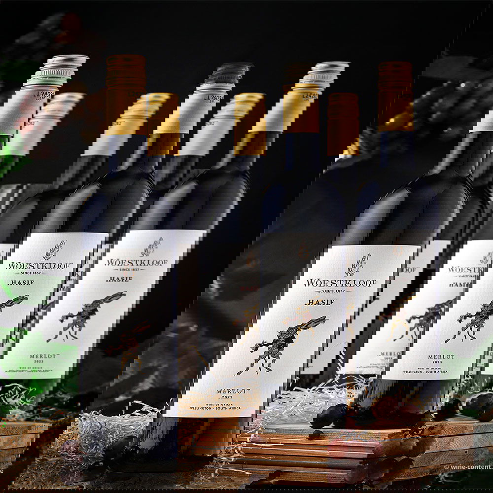 5+1 Sparpaket Merlot 2023 Hasie