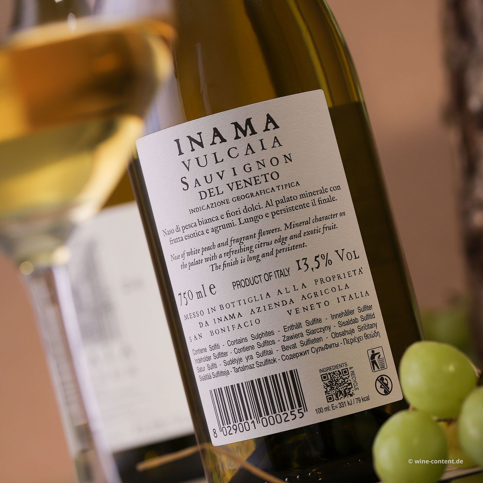 Sauvignon del Veneto 2024 Vulcaia