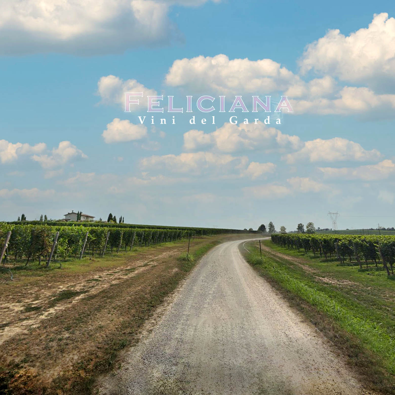 Lugana Riserva 2021 Serce
