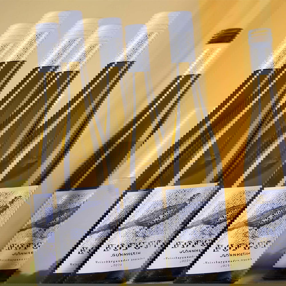 6er-Sparpaket Weißburgunder 2024 Gönnheim Bio