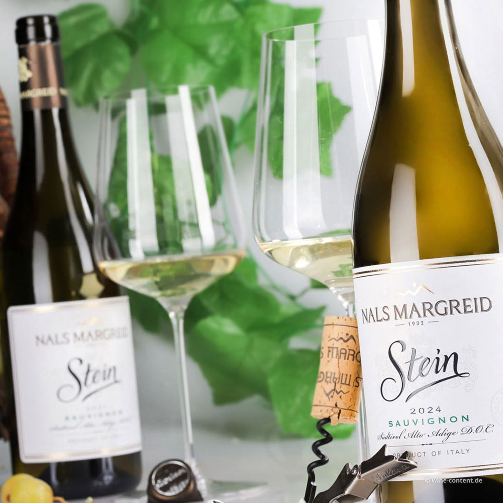 Sauvignon Blanc 2024 Stein