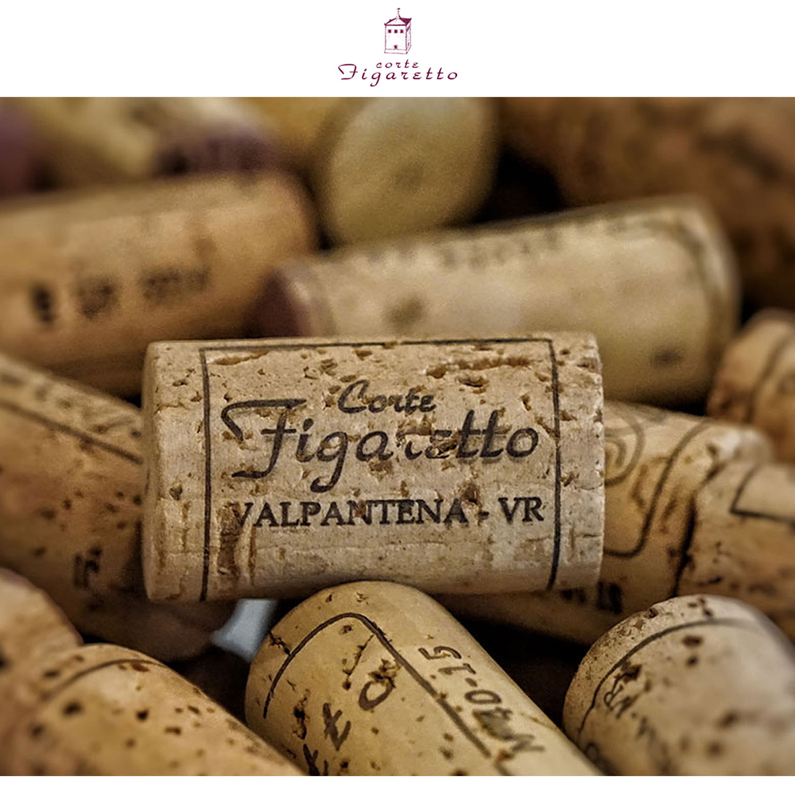 6er-Holzkiste Amarone Valpantena 2019 Musa del Figaretto