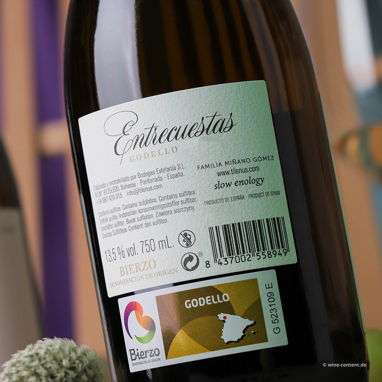 Godello 2021 Tilenus Entrecuestas Godello 2021 Tilenus Entrecuestas