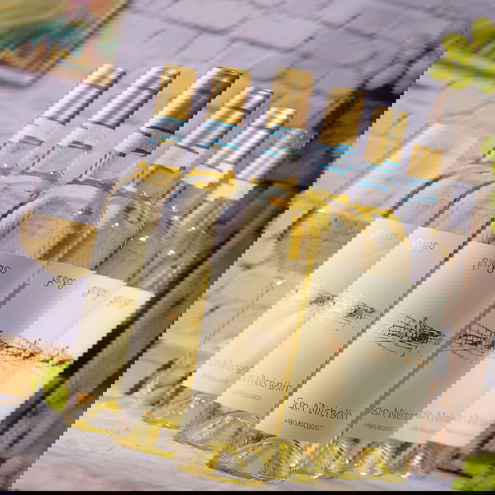 6er-Sparpaket Custoza 2025 San Michelin Bio