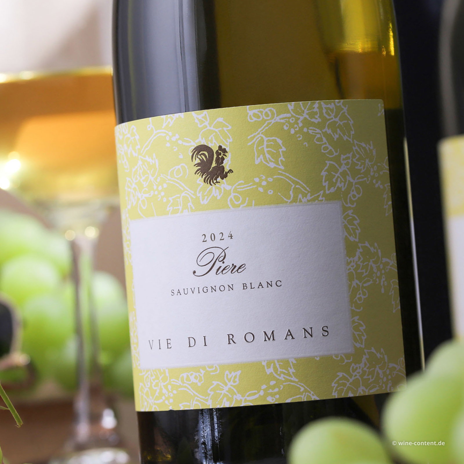 Sauvignon Blanc 2024 Piere