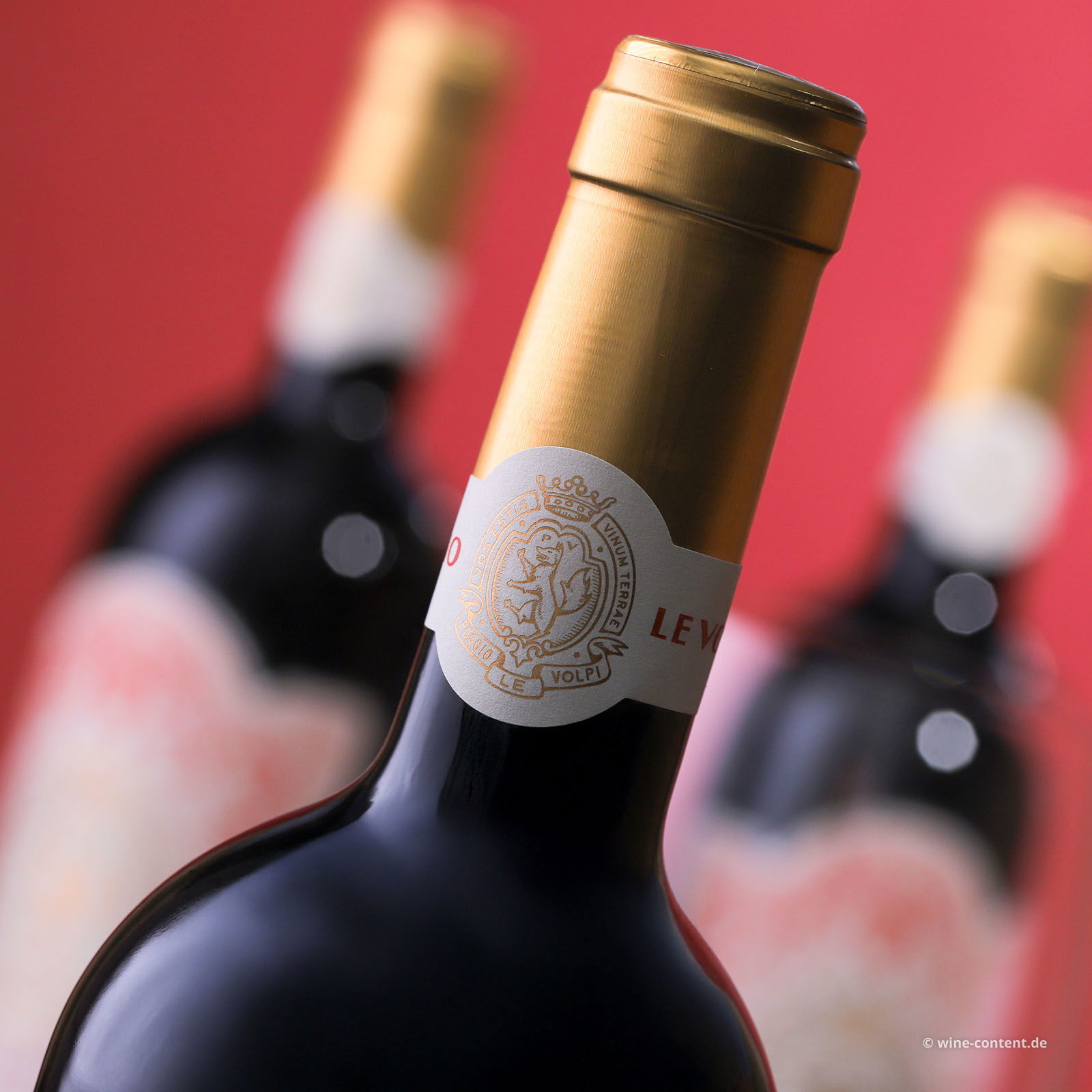 6er-Sparpaket Roma Rosso 2022