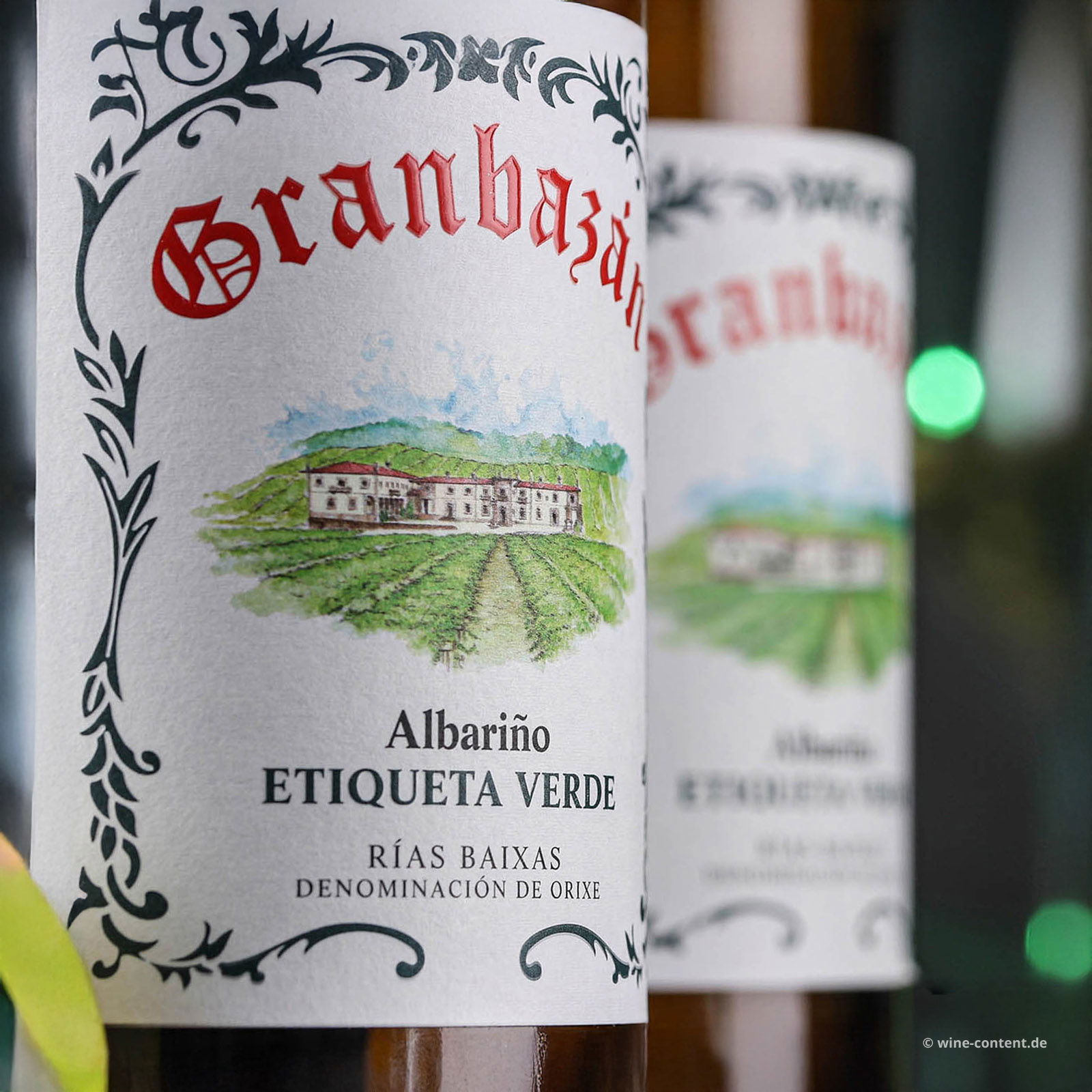 3er-Paket Albariño 2024 Etiqueta Verde Magnum