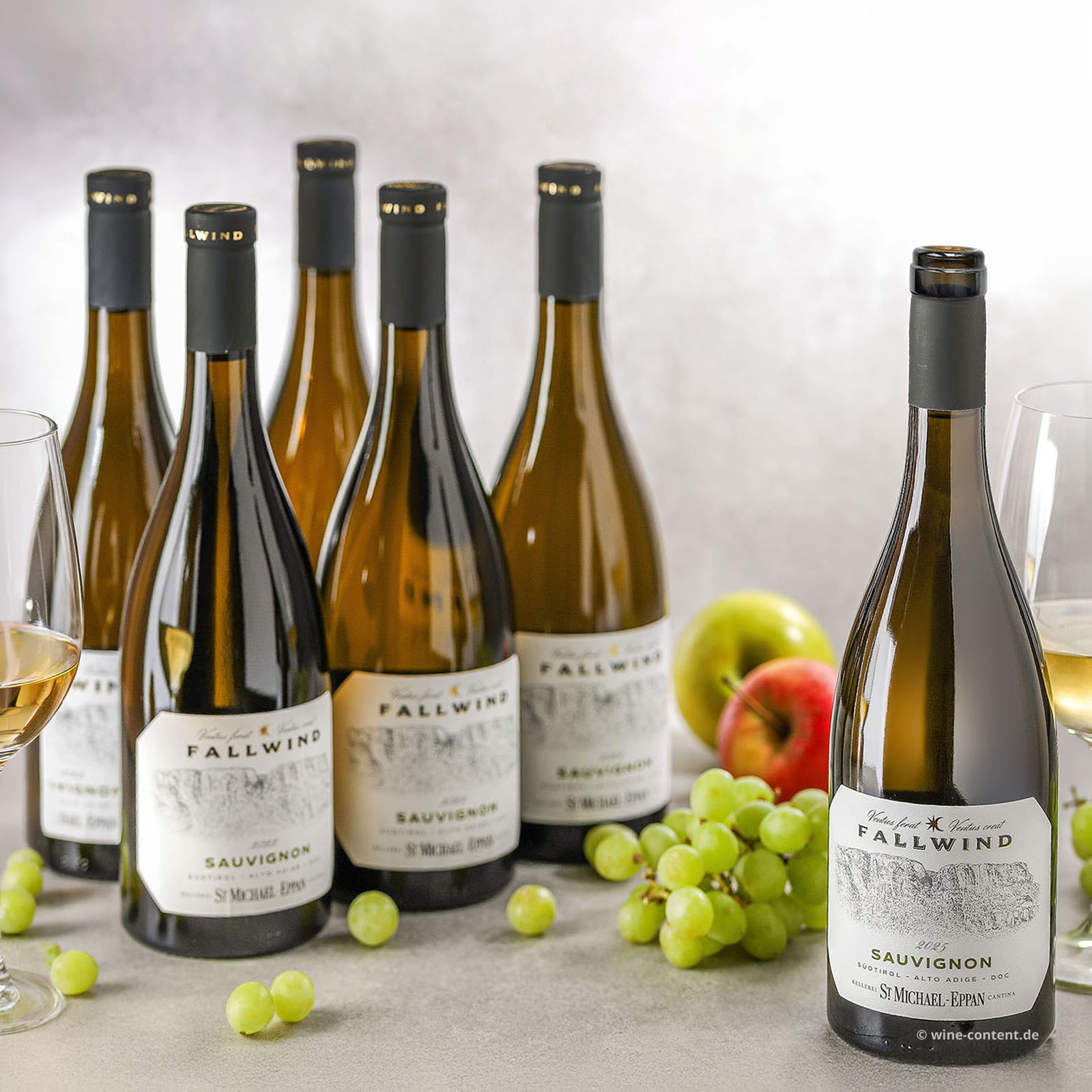 6er-Sparpaket Sauvignon Blanc 2025 Fallwind