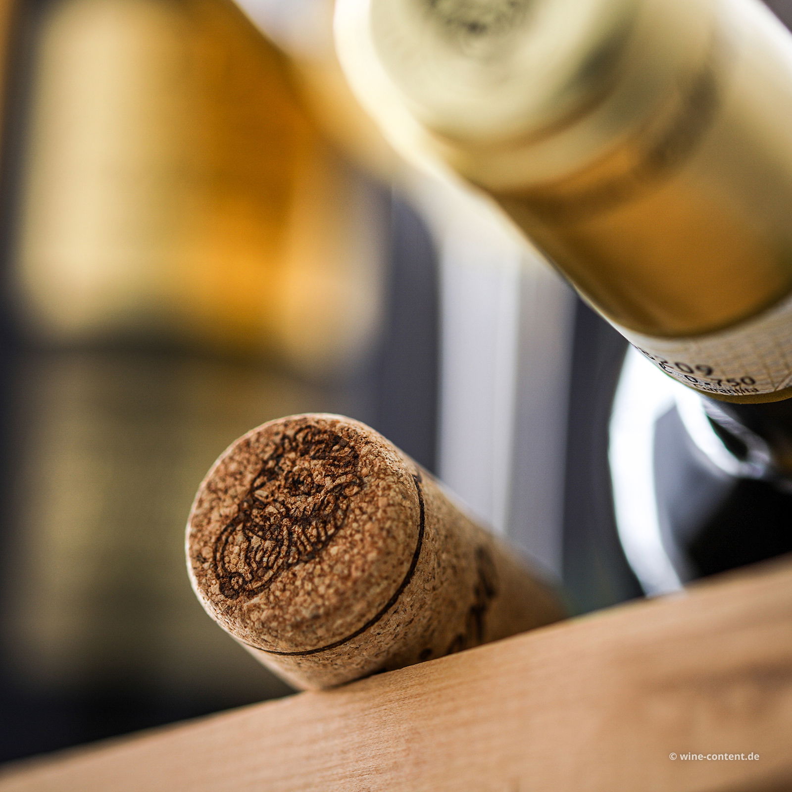 6er-Sparpaket Arneis Roero 2025 Cecu