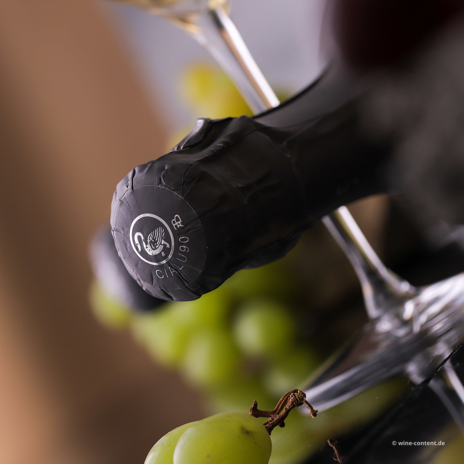 Prosecco Superiore 2025 20.10 Brut