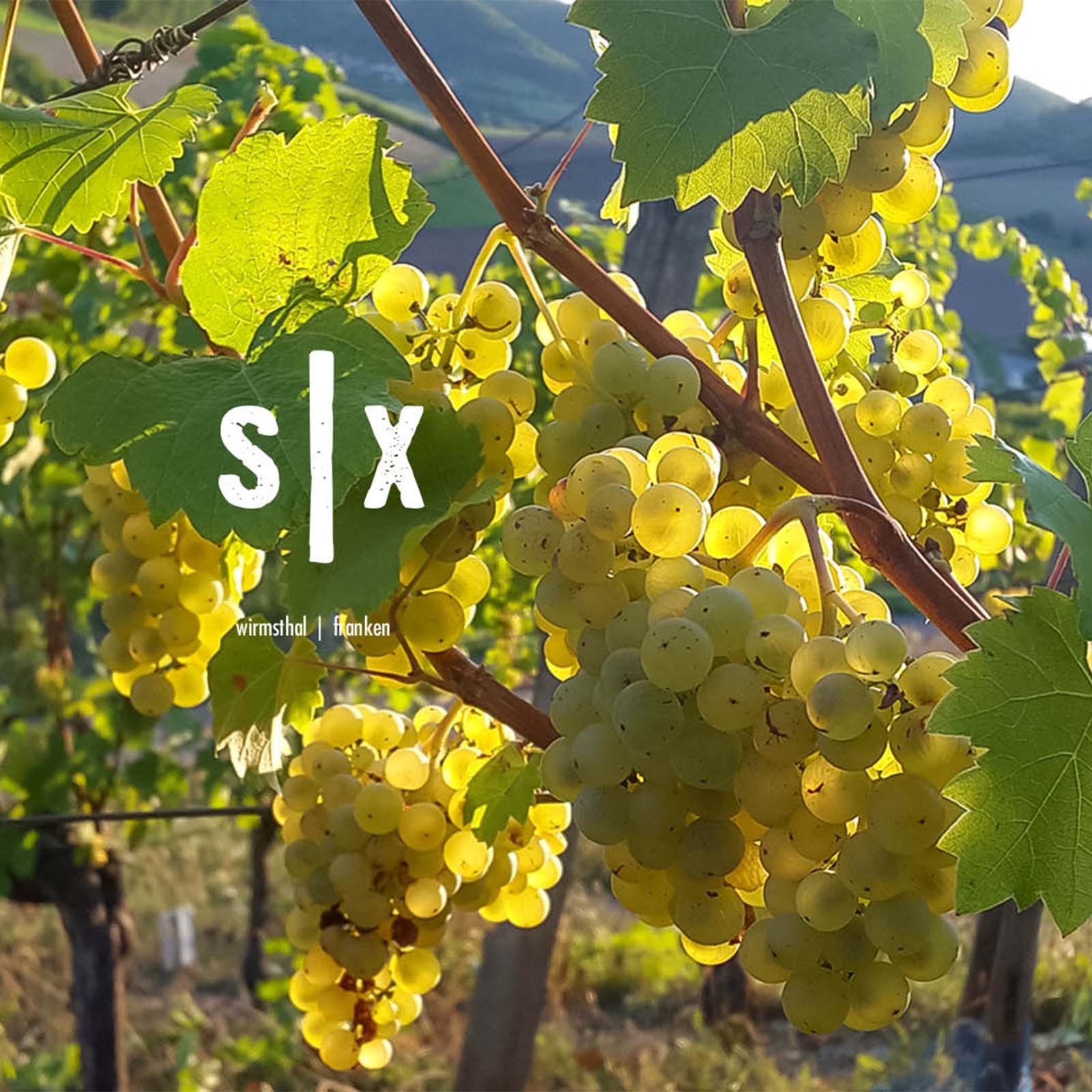 Silvaner 2024 Muschelkalk