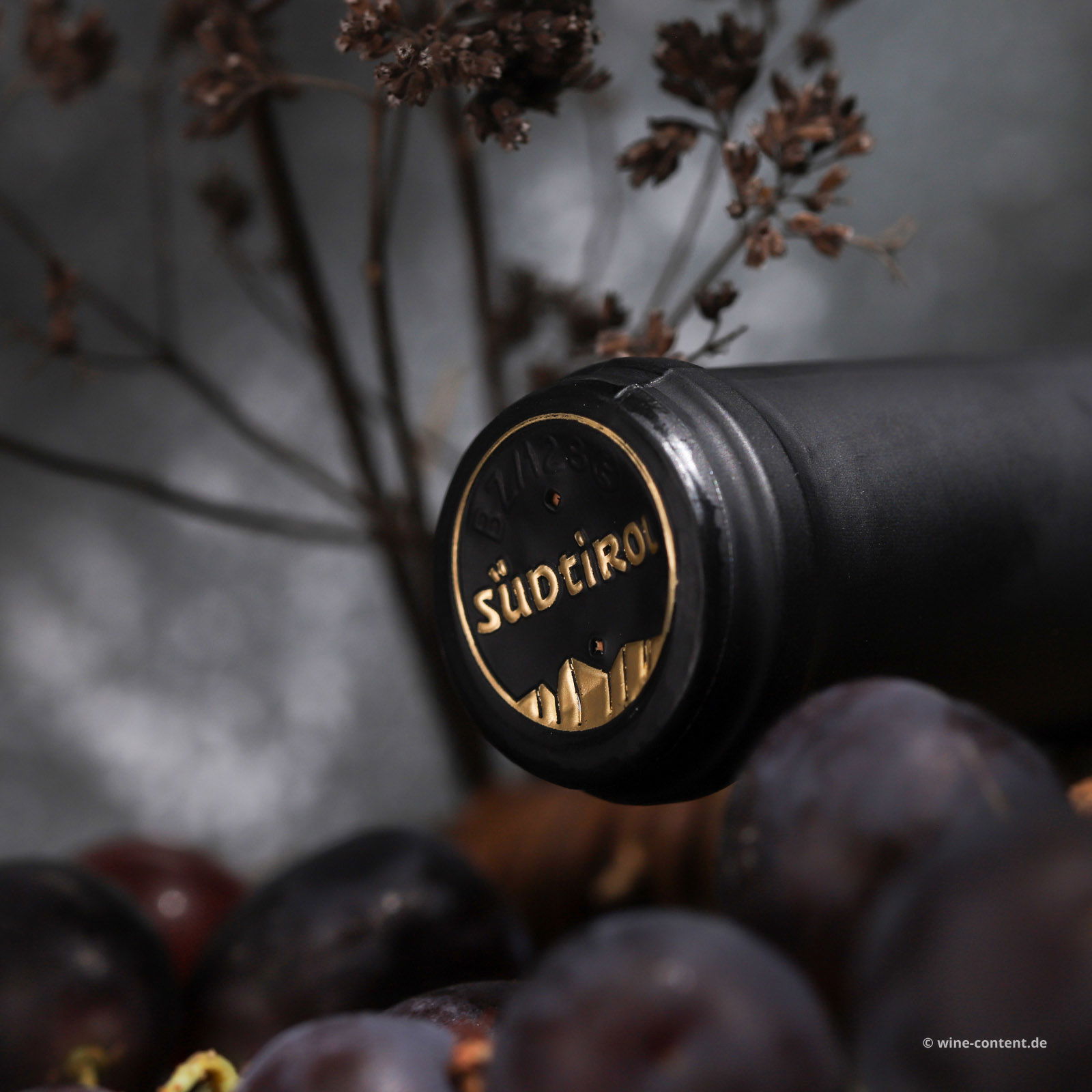 Pinot Noir Riserva 2022 Monticol