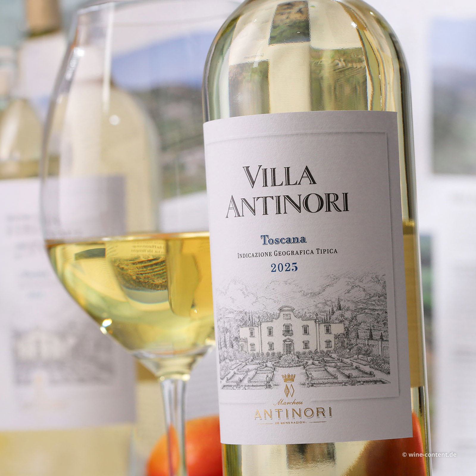 Villa Antinori Bianco 2025