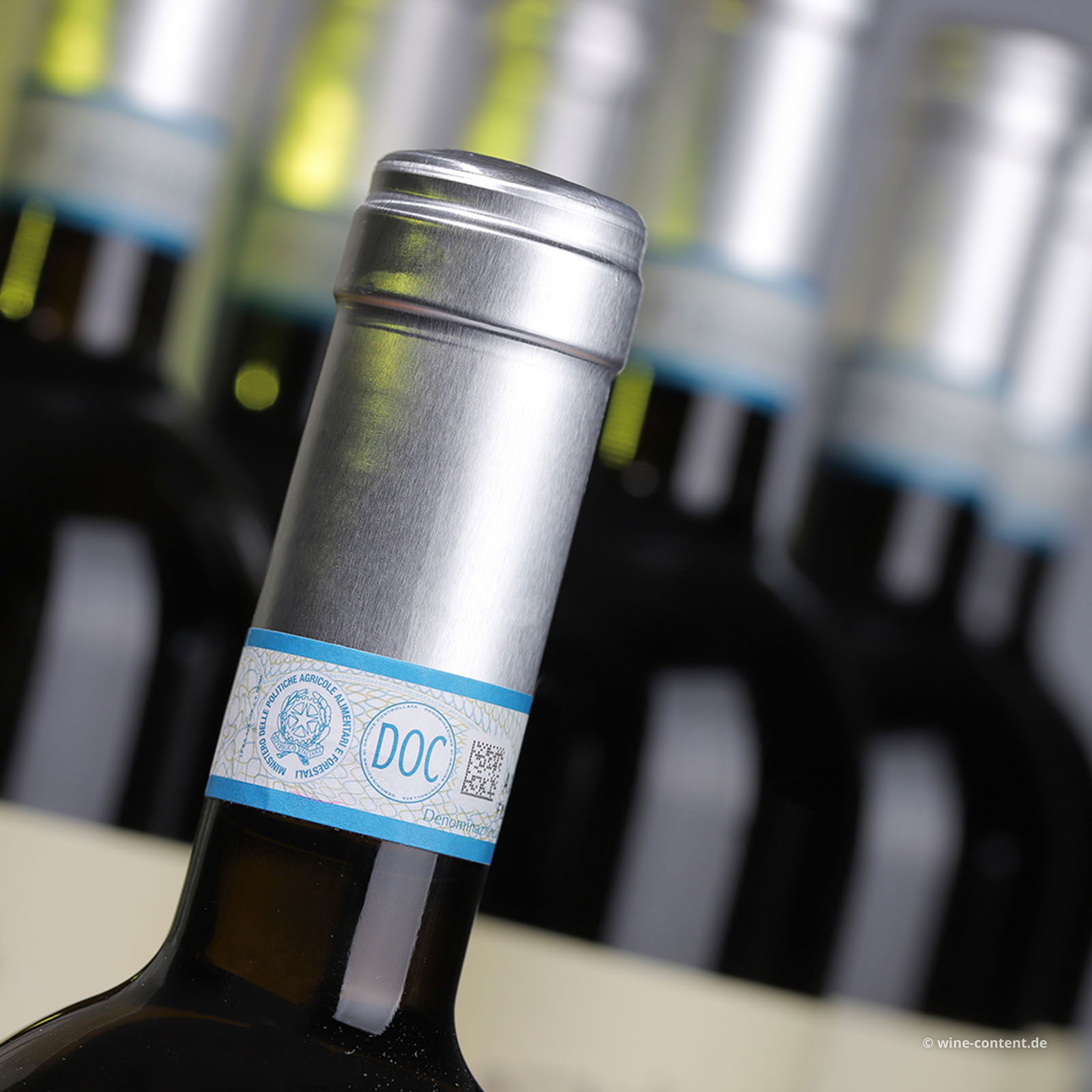 9er-Sparpaket Lugana 2024 Santa Cristina