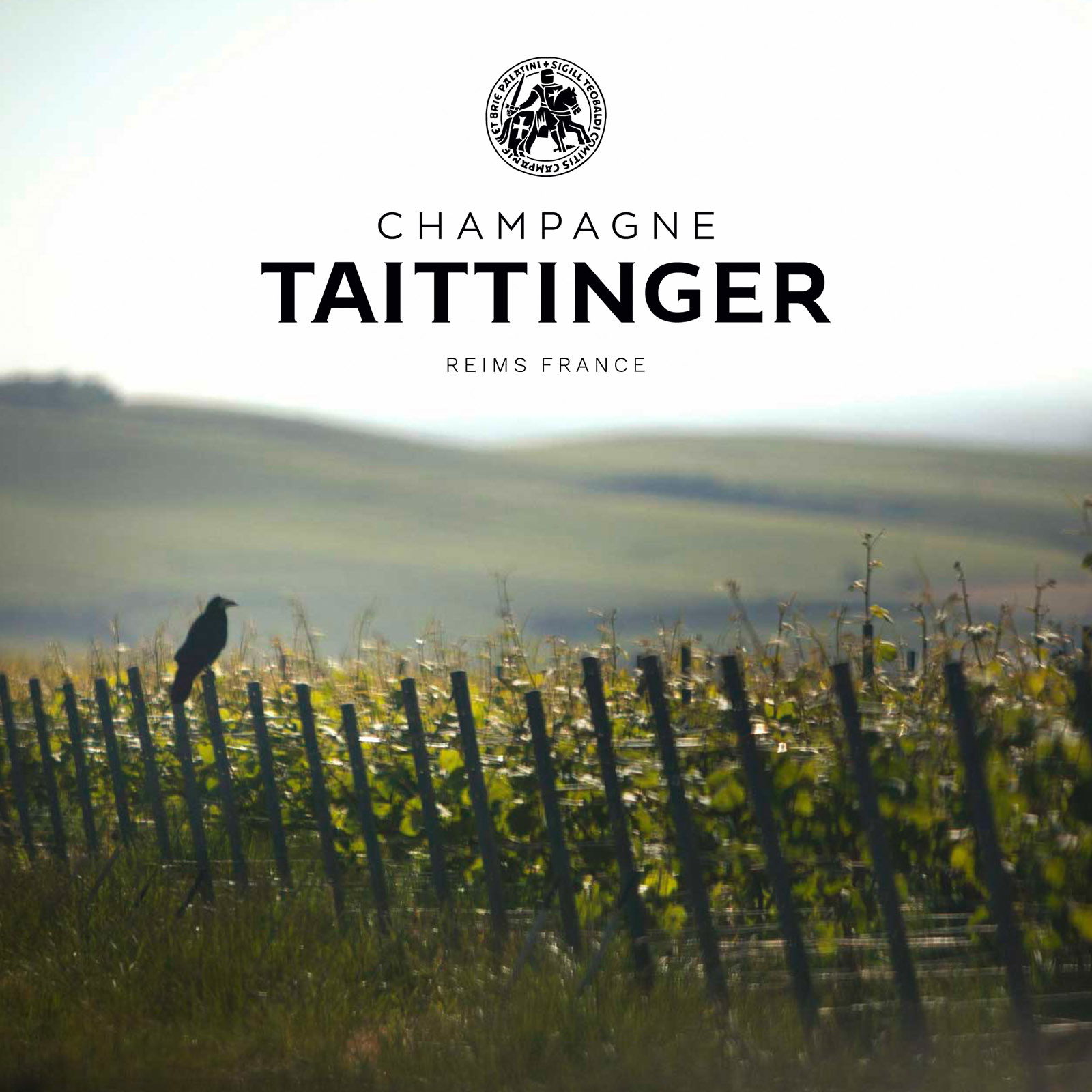 Champagner Rosé 2012 Comtes de Champagne Brut