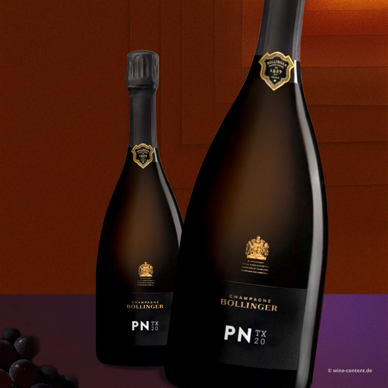 Champagner PN TX20 Brut