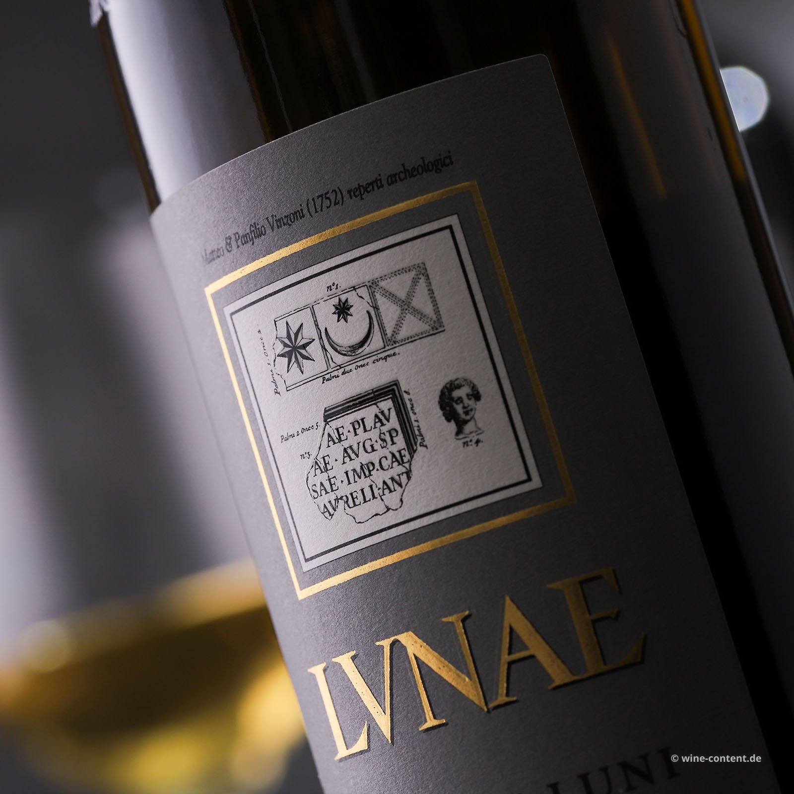 Vermentino Colli di Luni 2025 Etichetta Grigia