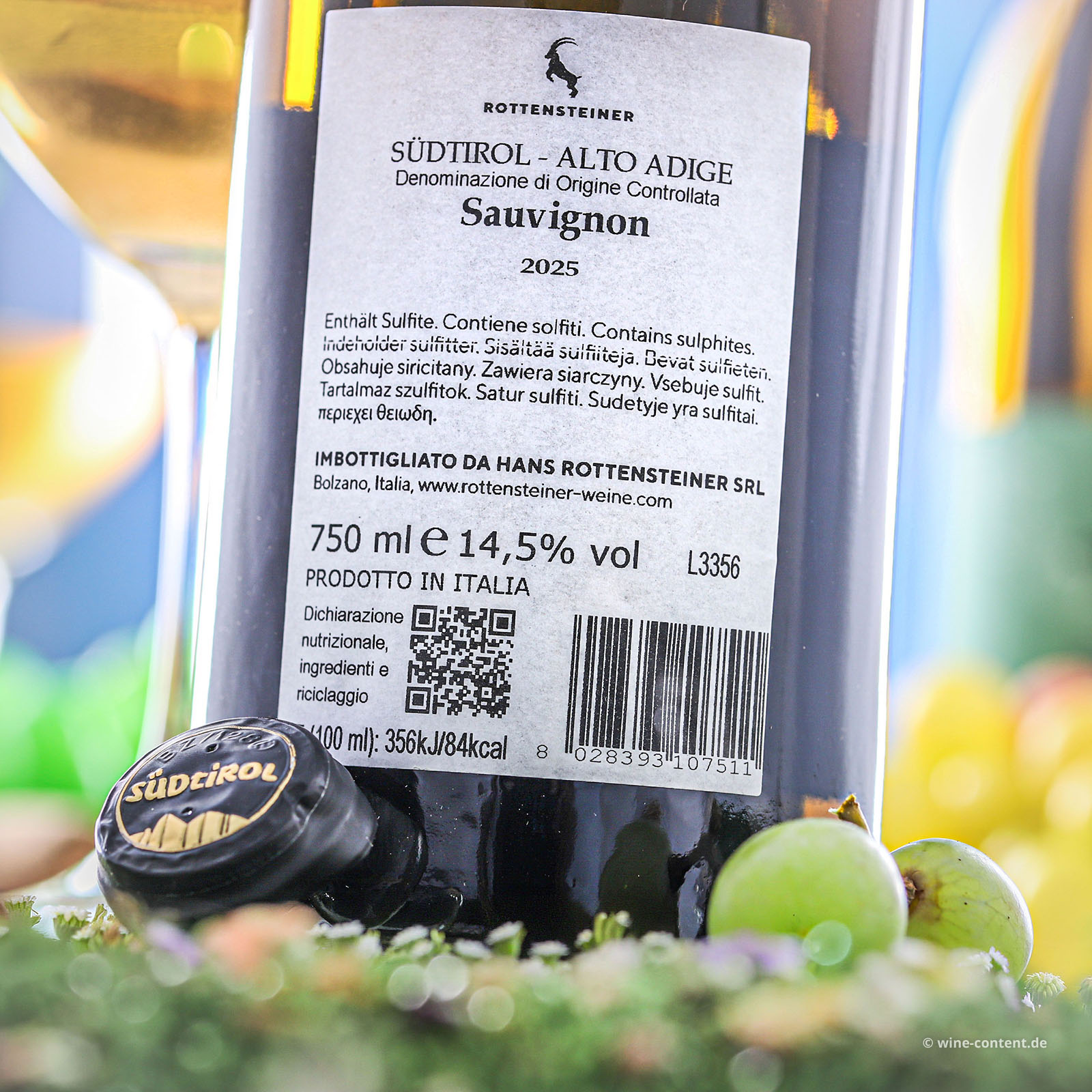 Sauvignon Blanc 2025